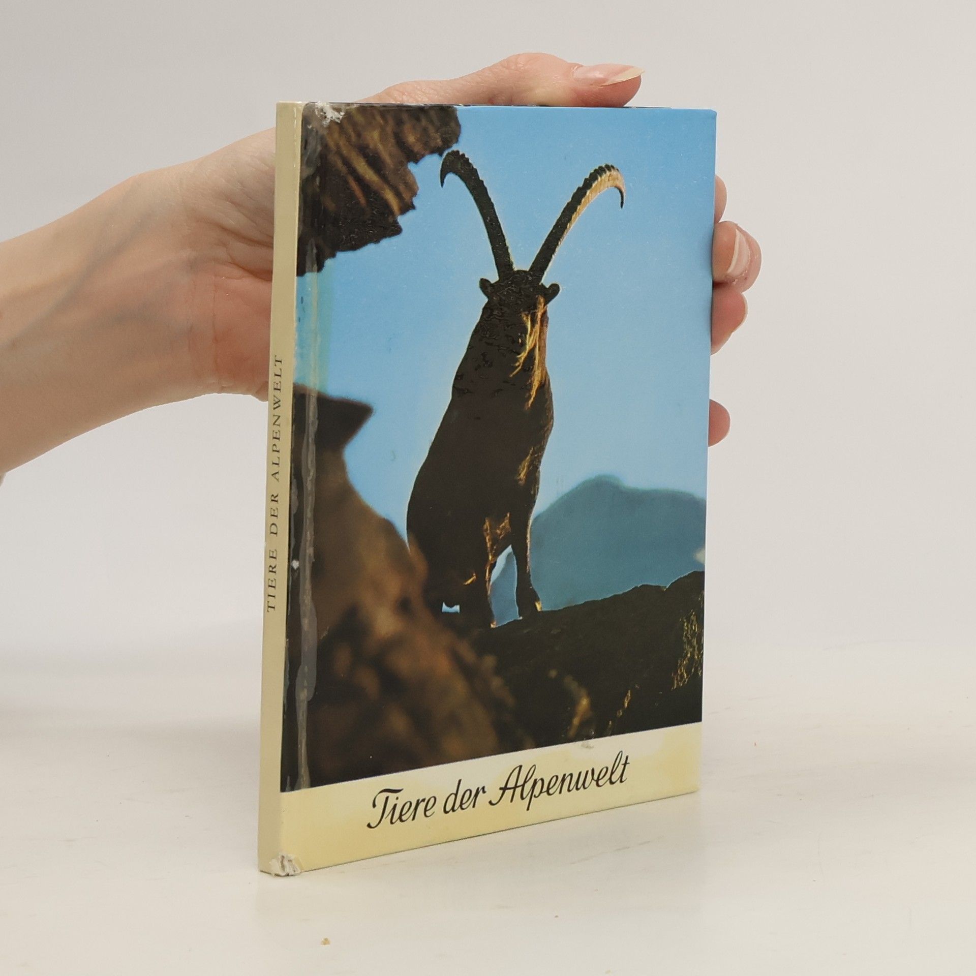 Gerth Rokitansky Tiere der Alpenwelt