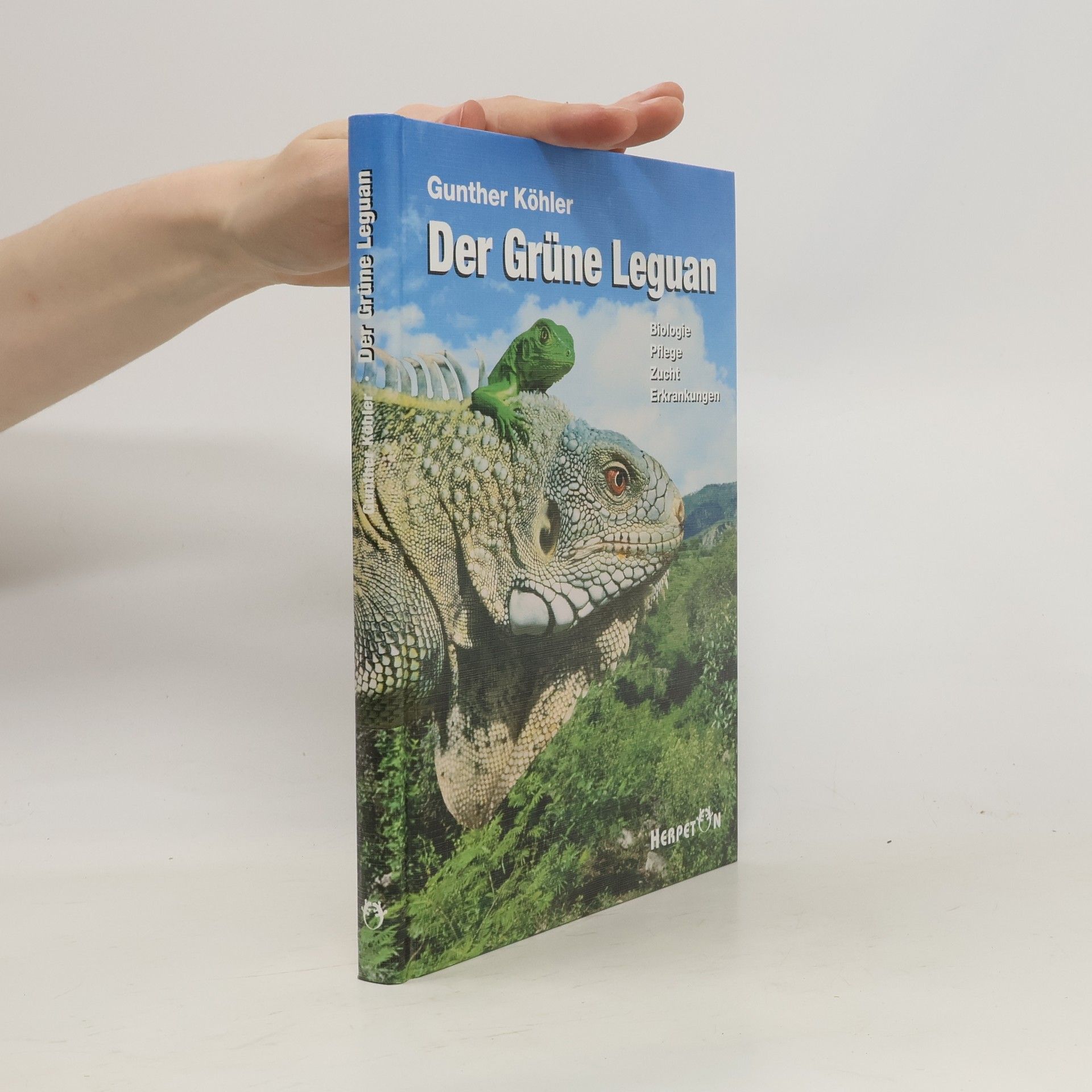 Gunther Köhler Der Grüne Leguan