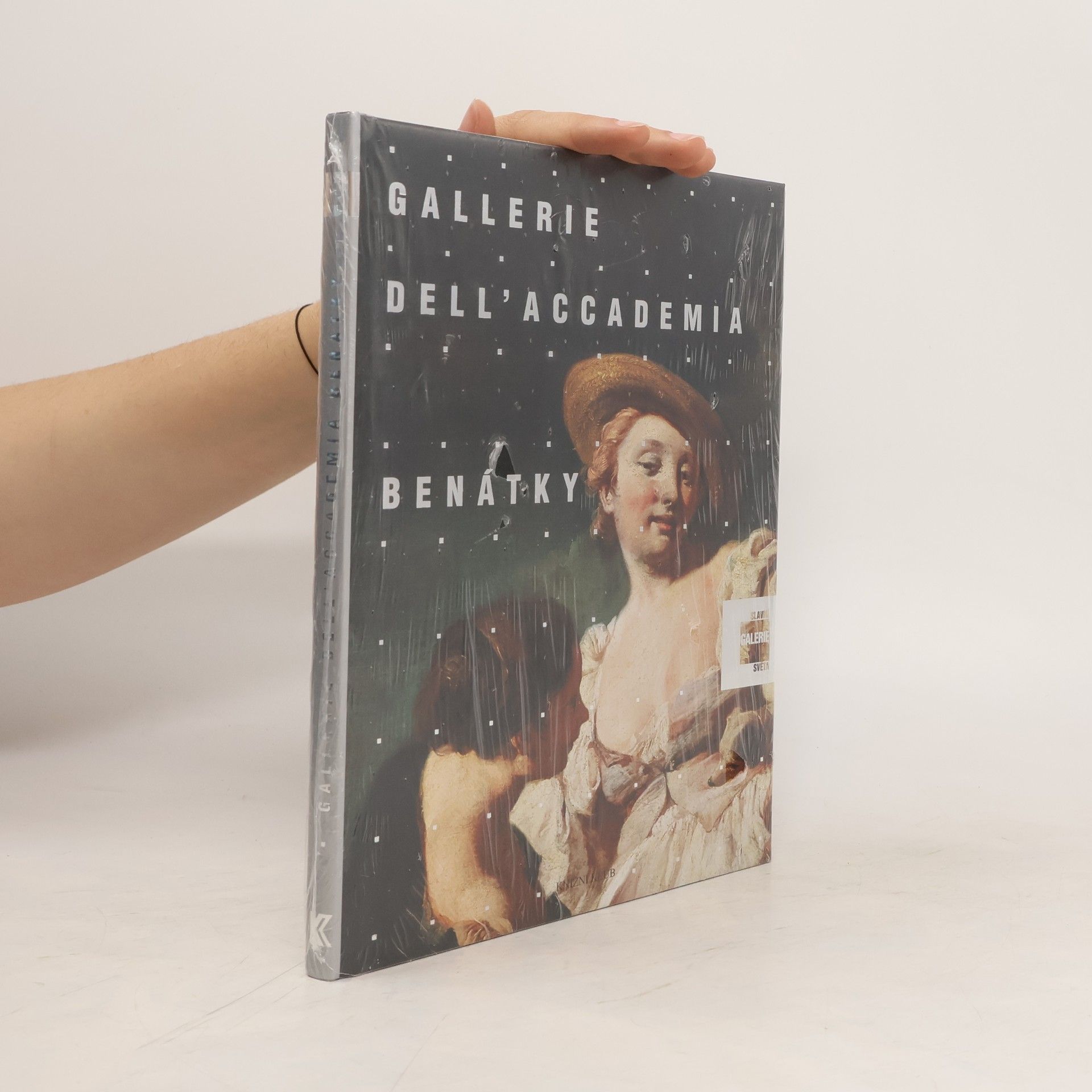 Lucia Impelluso Gallerie dell'Accademia Benátky