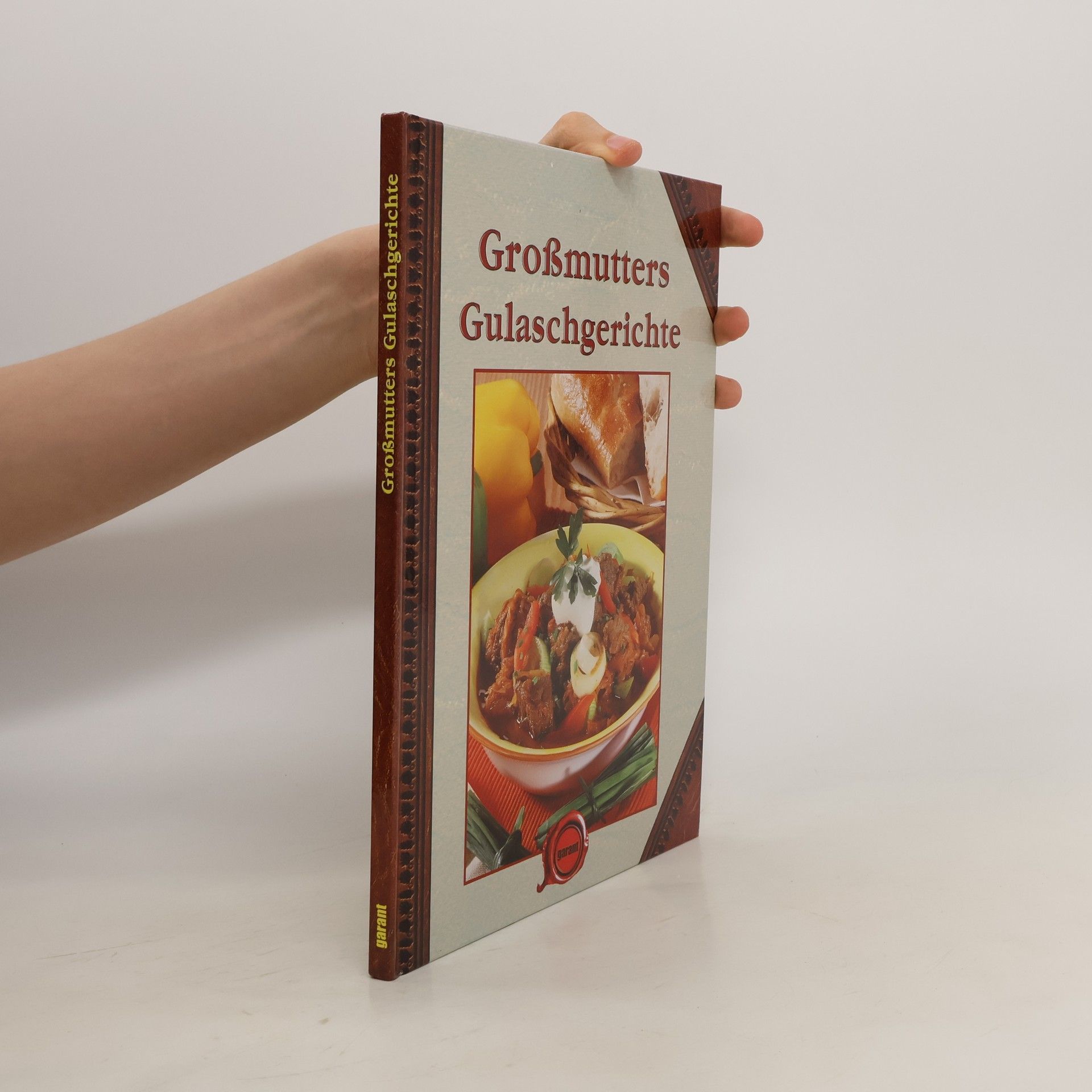 Autorenkollektiv Großmutters Gulaschgerichte