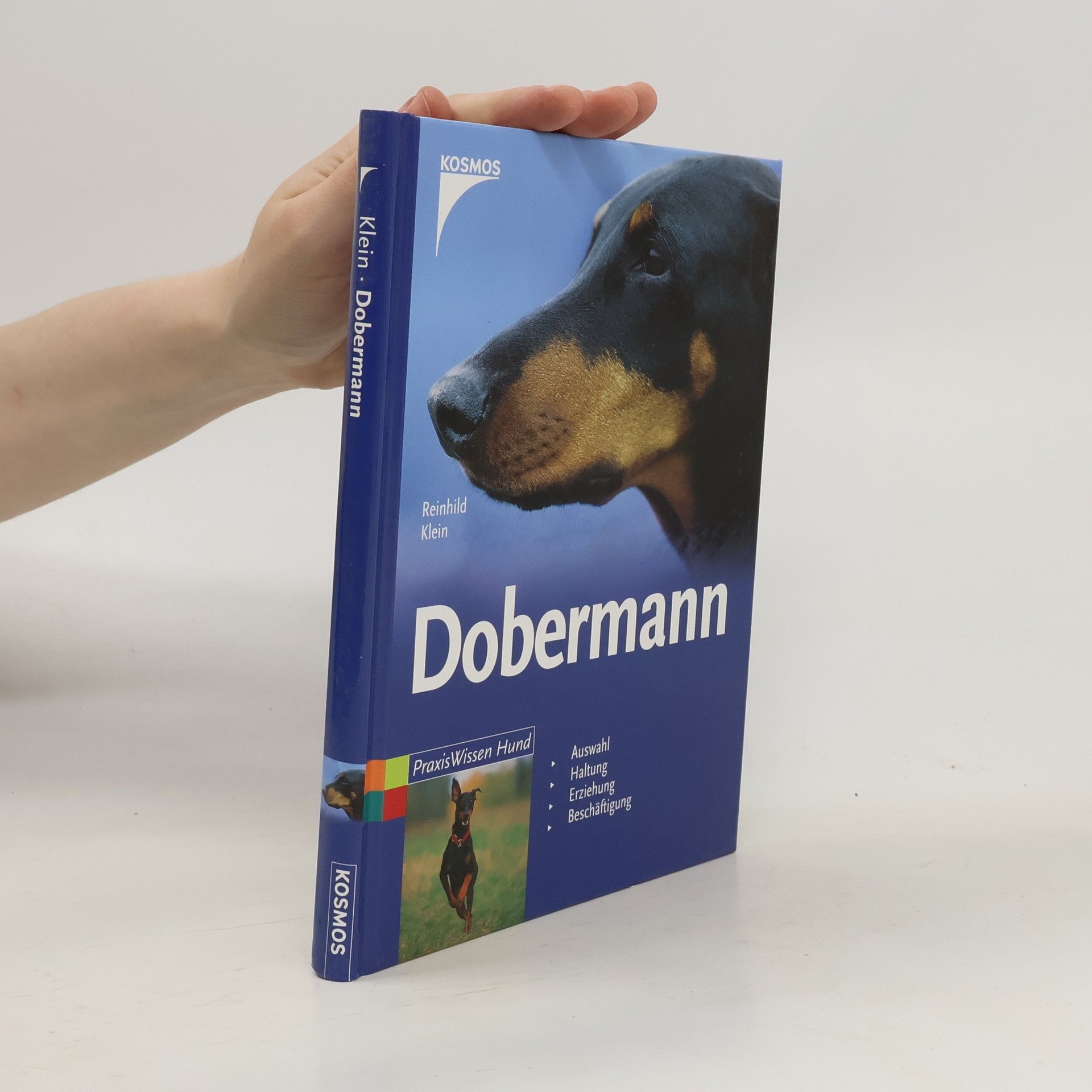 Reinhild Klein-Hessling Dobermann