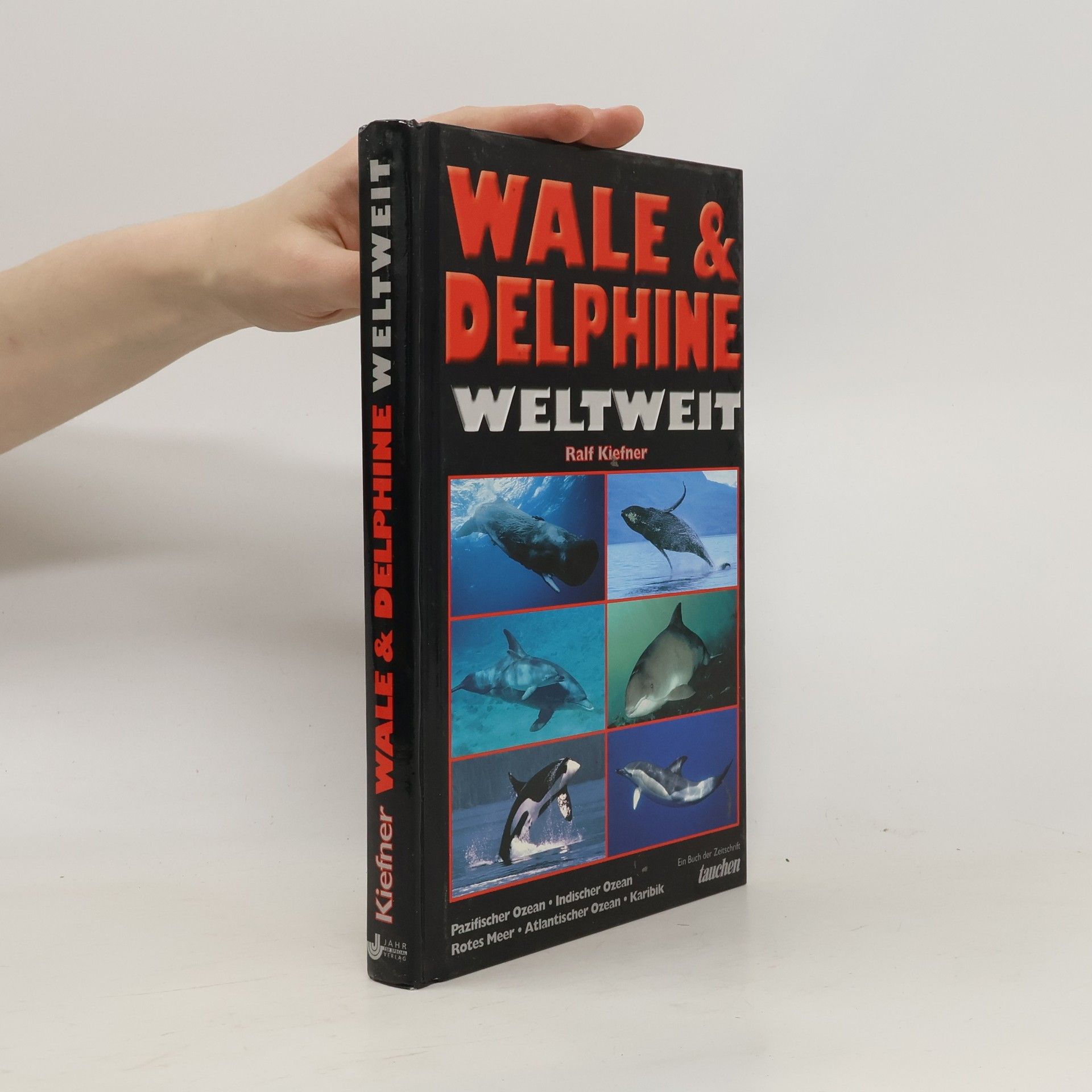 Ralf Kiefner Wale & Delphine weltweit