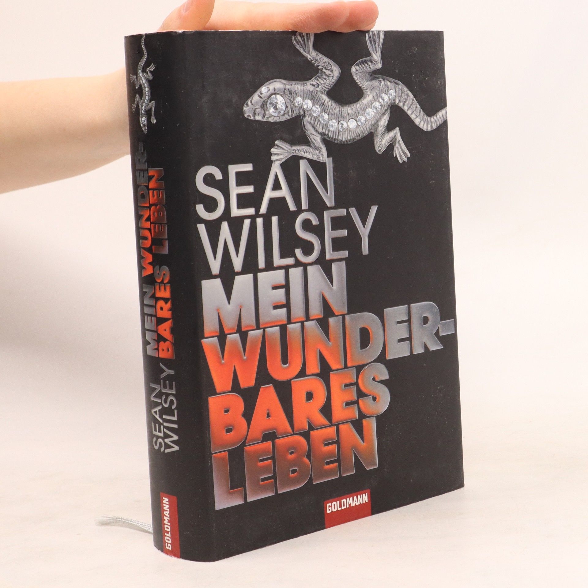Sean Wilsey Mein wunderbares Leben