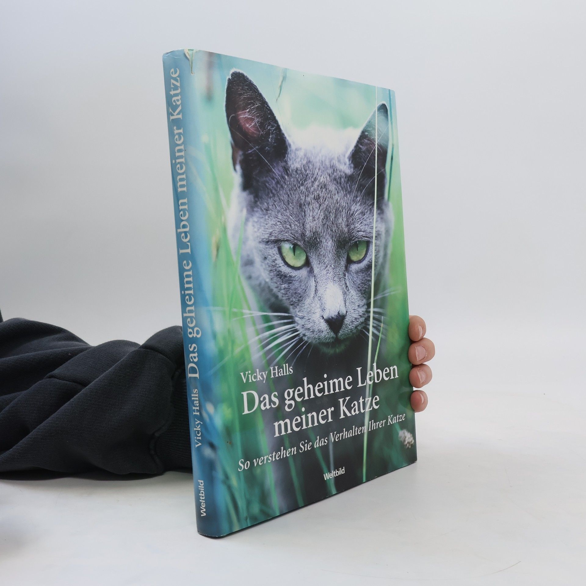 Vicky Halls Das geheime Leben meiner Katze So verstehen Sie das Verhalten Ihrer Katze