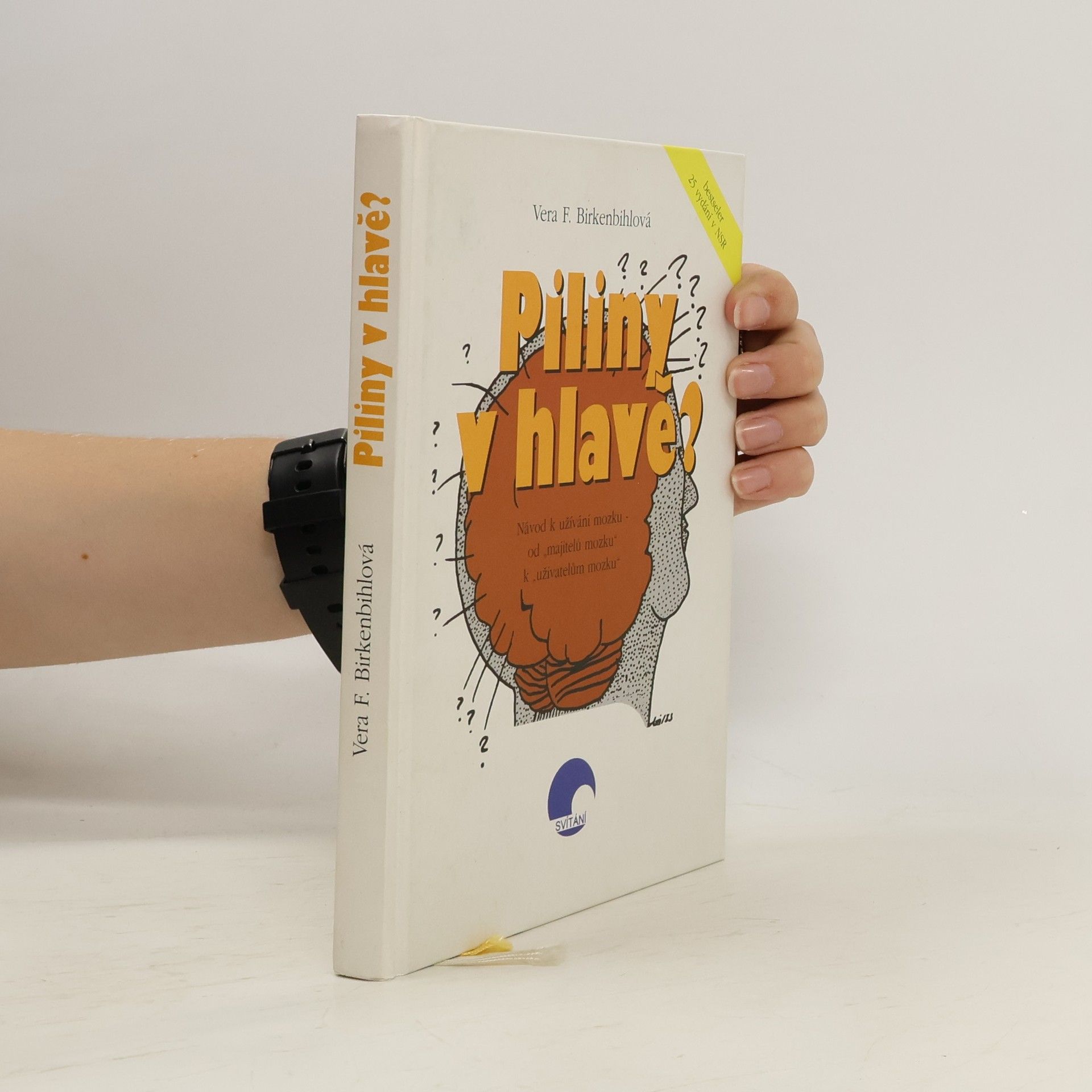 Vera F. Birkenbihl Piliny v hlavě?