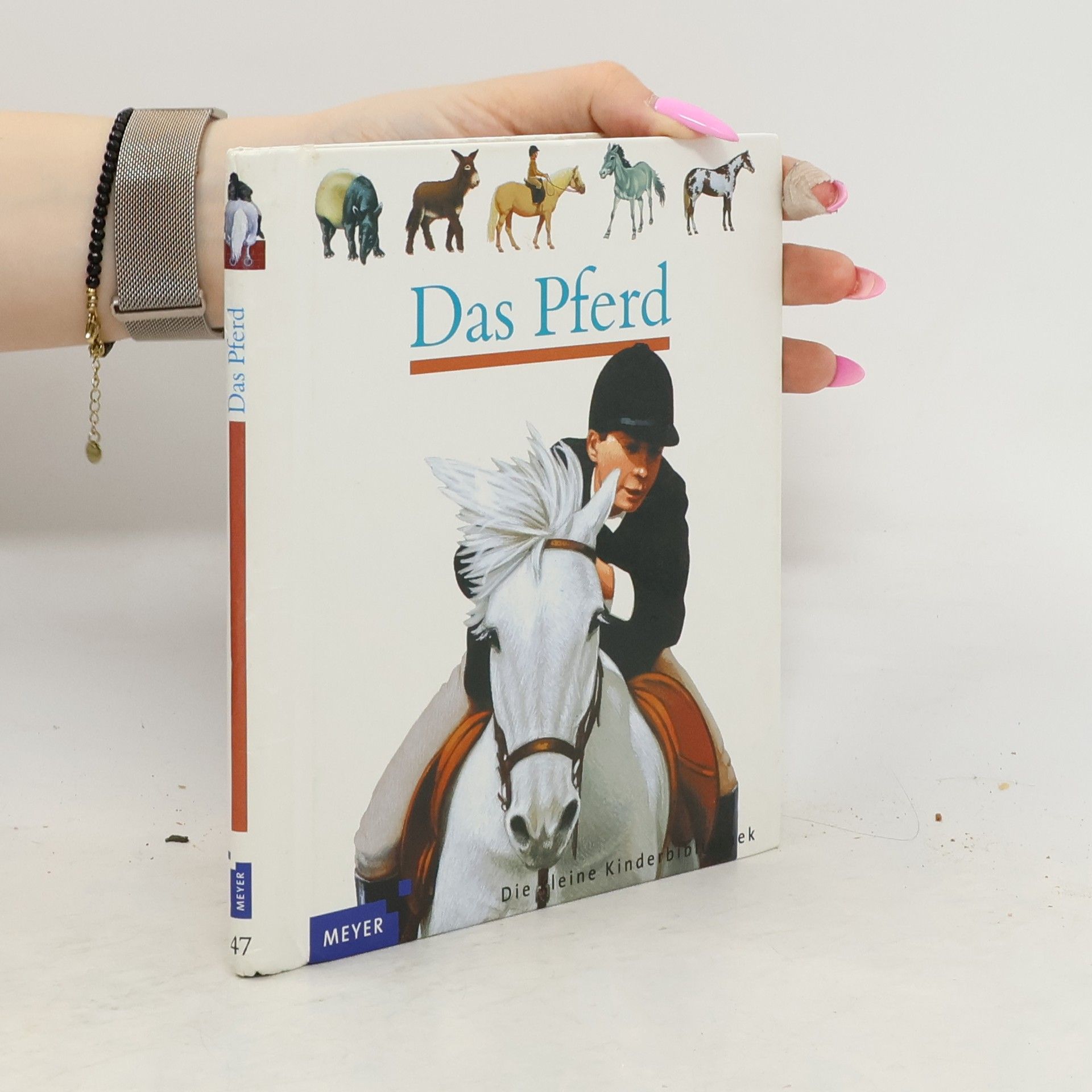 Henri Galeron Das Pferd