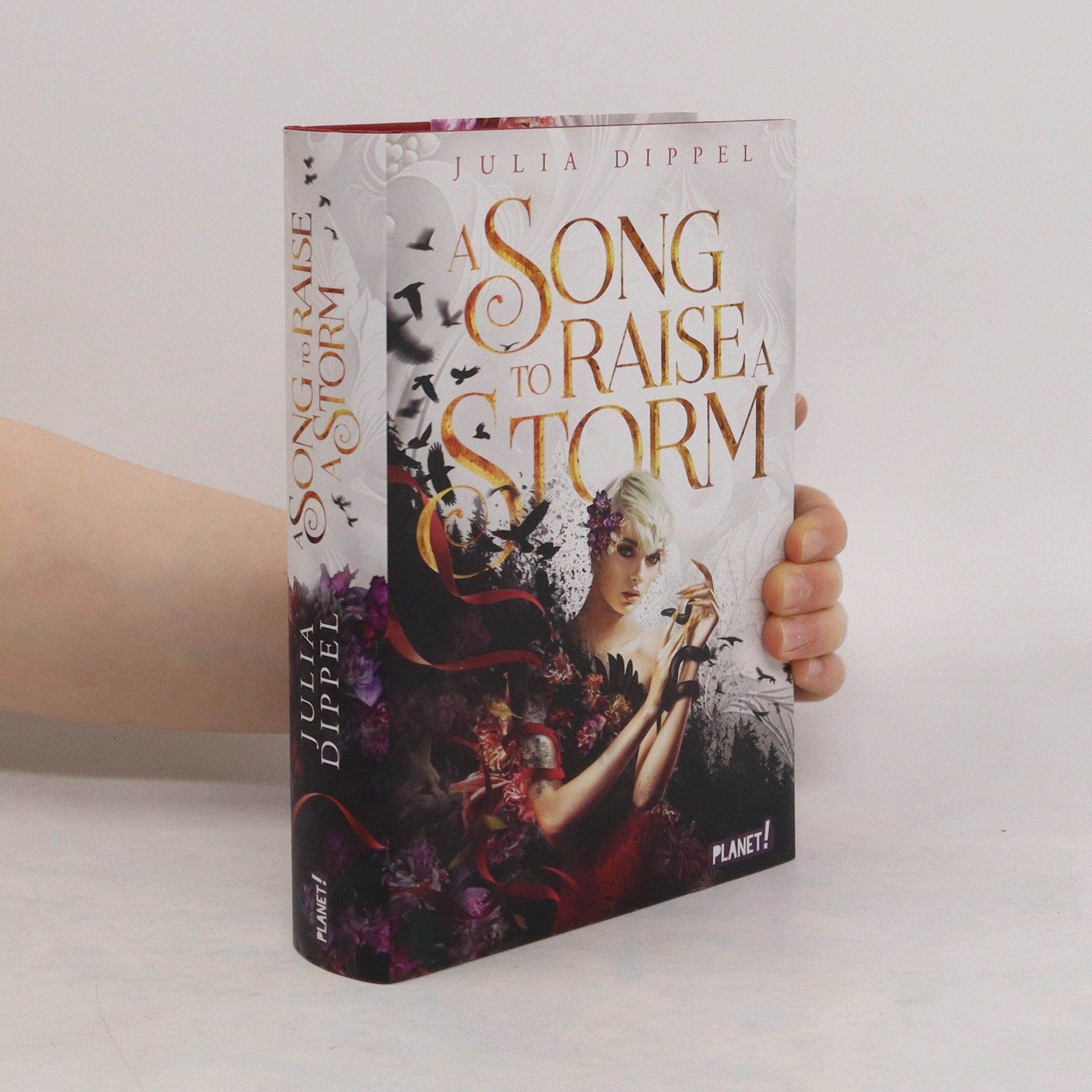 Julia Dippel Die Sonnenfeuer-Ballade 1: A Song to Raise a Storm