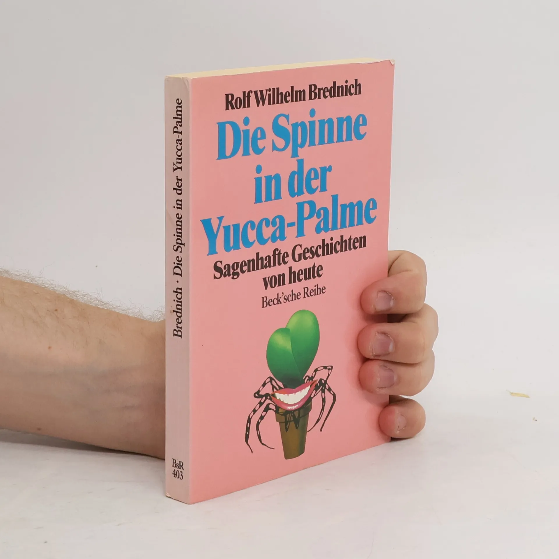 Die Spinne in der Yucca-Palme | Buch | Rolf Wilhelm Brednich
