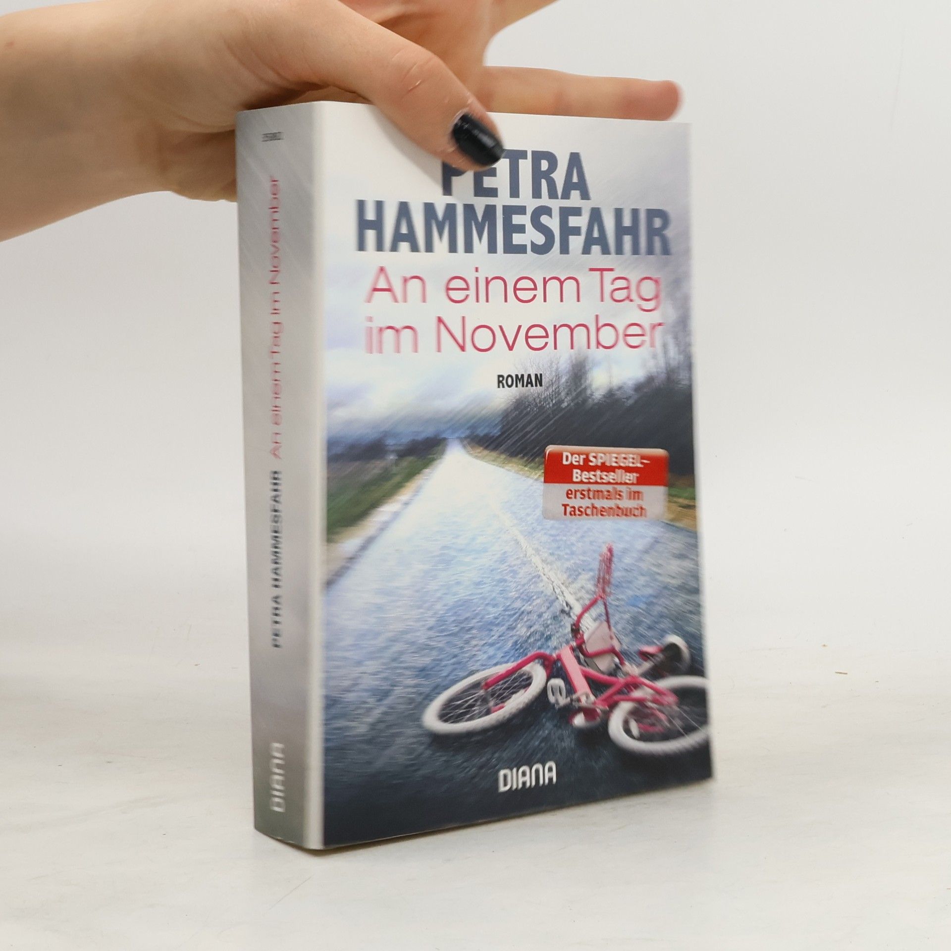 Petra Hammesfahr An einem Tag im November