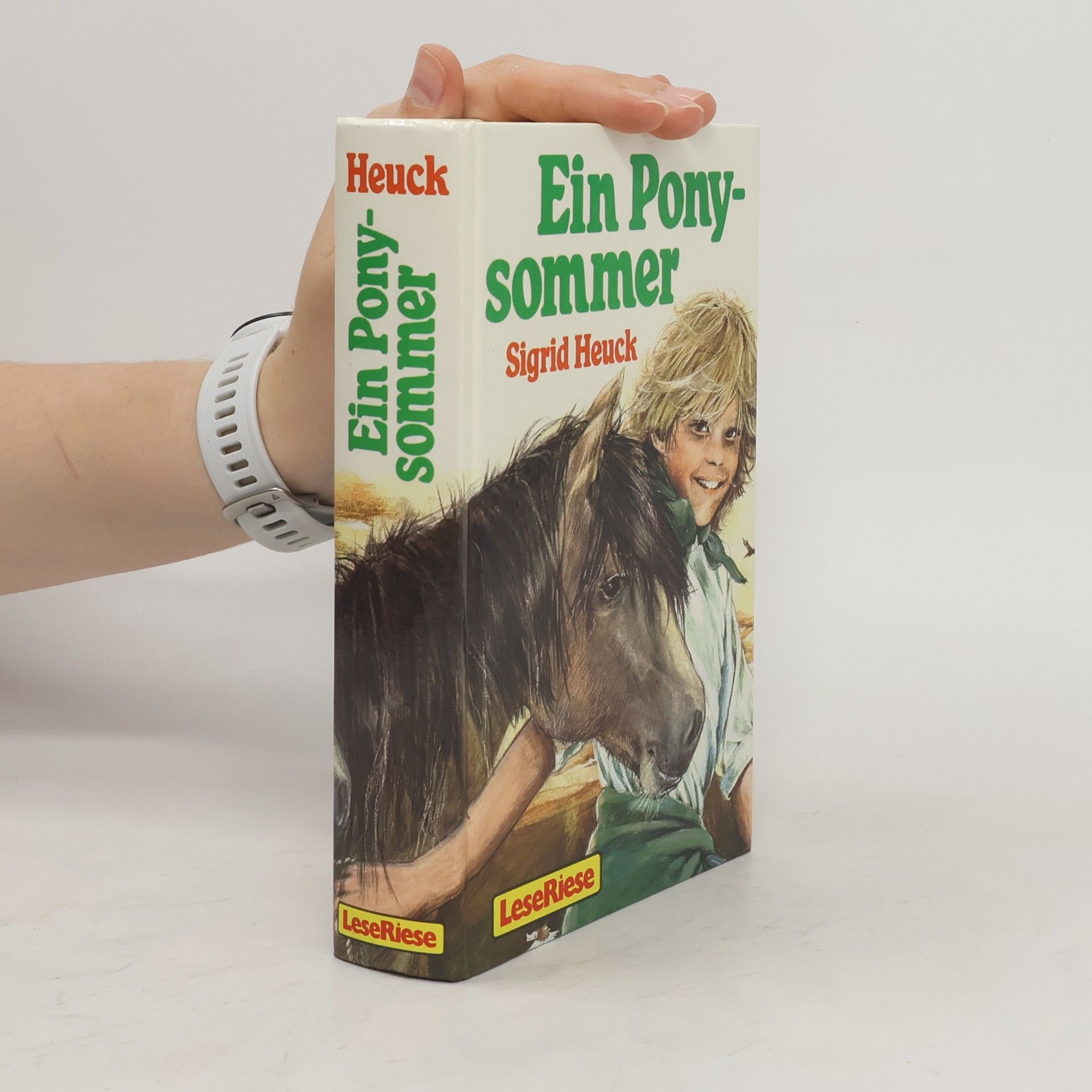 Sigrid Heuck Ein Pony-sommer