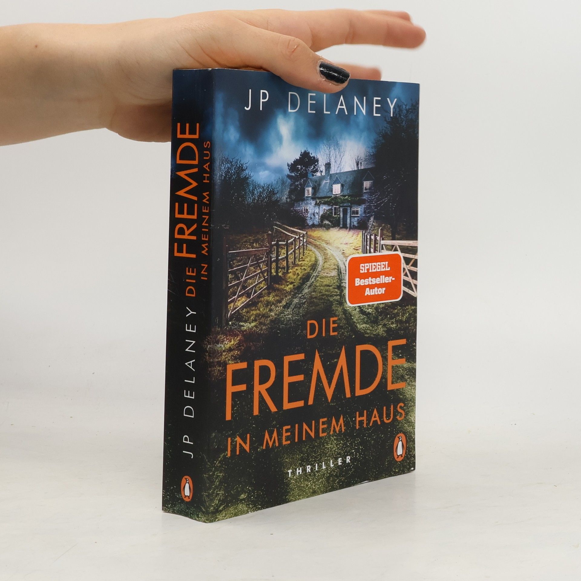 J. P. Delaney Die Fremde in meinem Haus