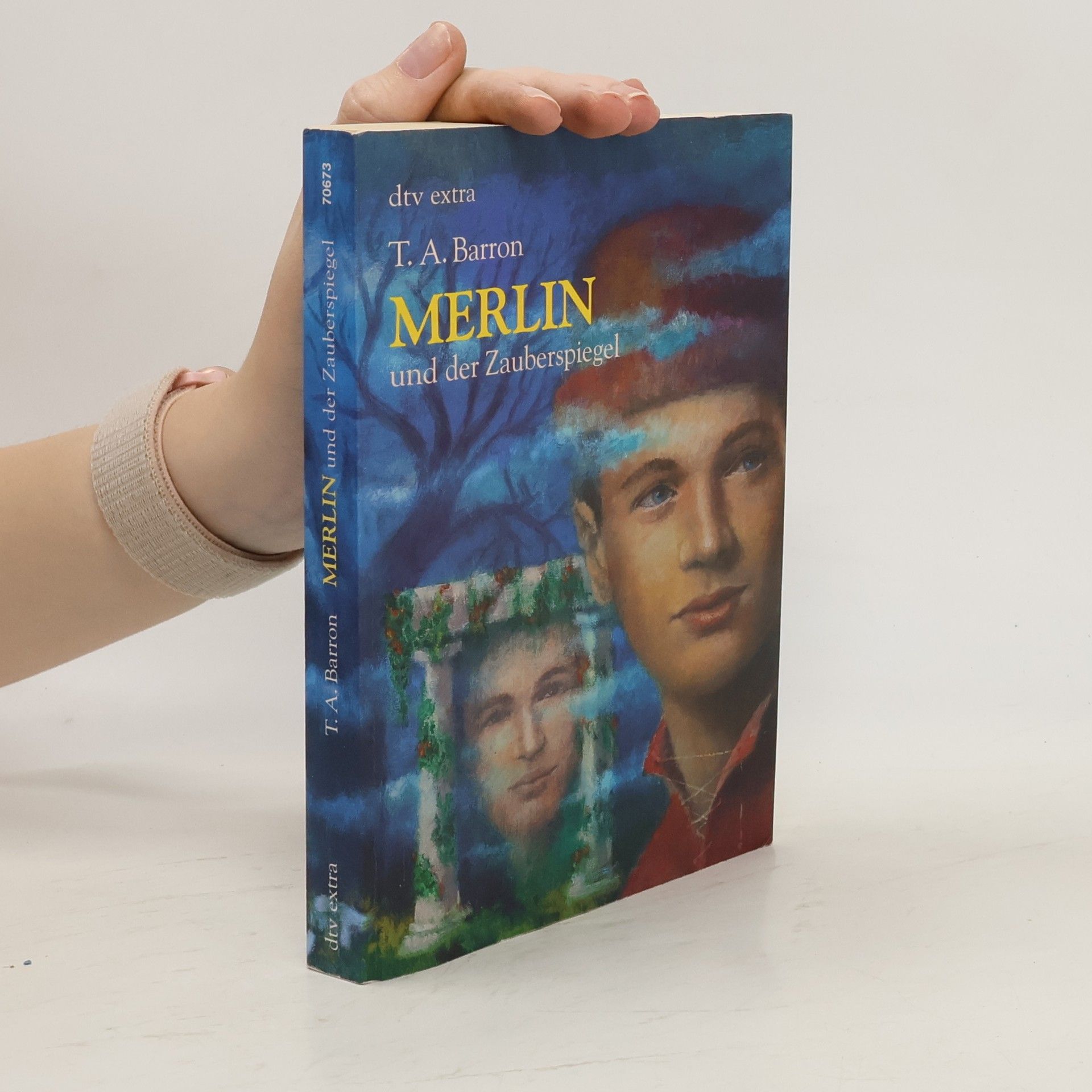 T. A. Barron Merlin und der Zauberspiegel