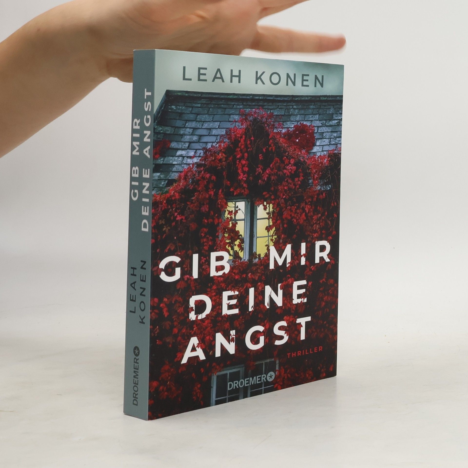 Leah Konen Gib mir deine Angst