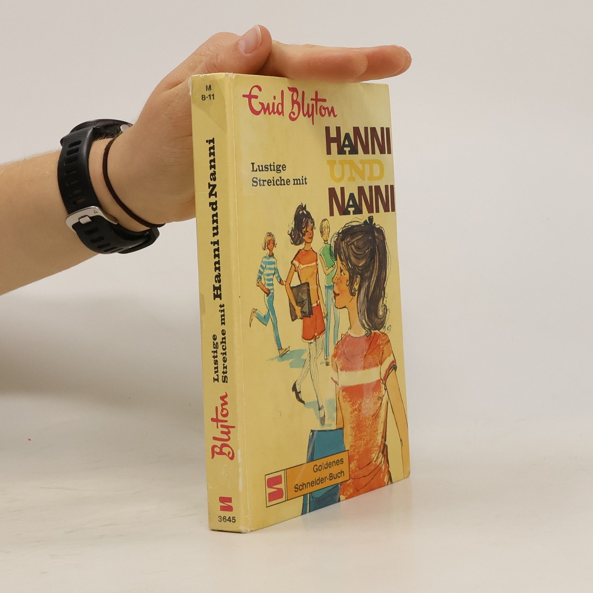 Enid Blyton Hanni und Nanni
