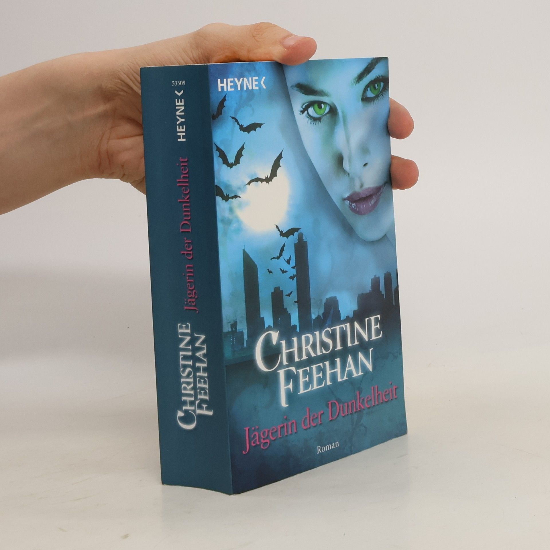 Christine Feehan Jägerin der Dunkelheit