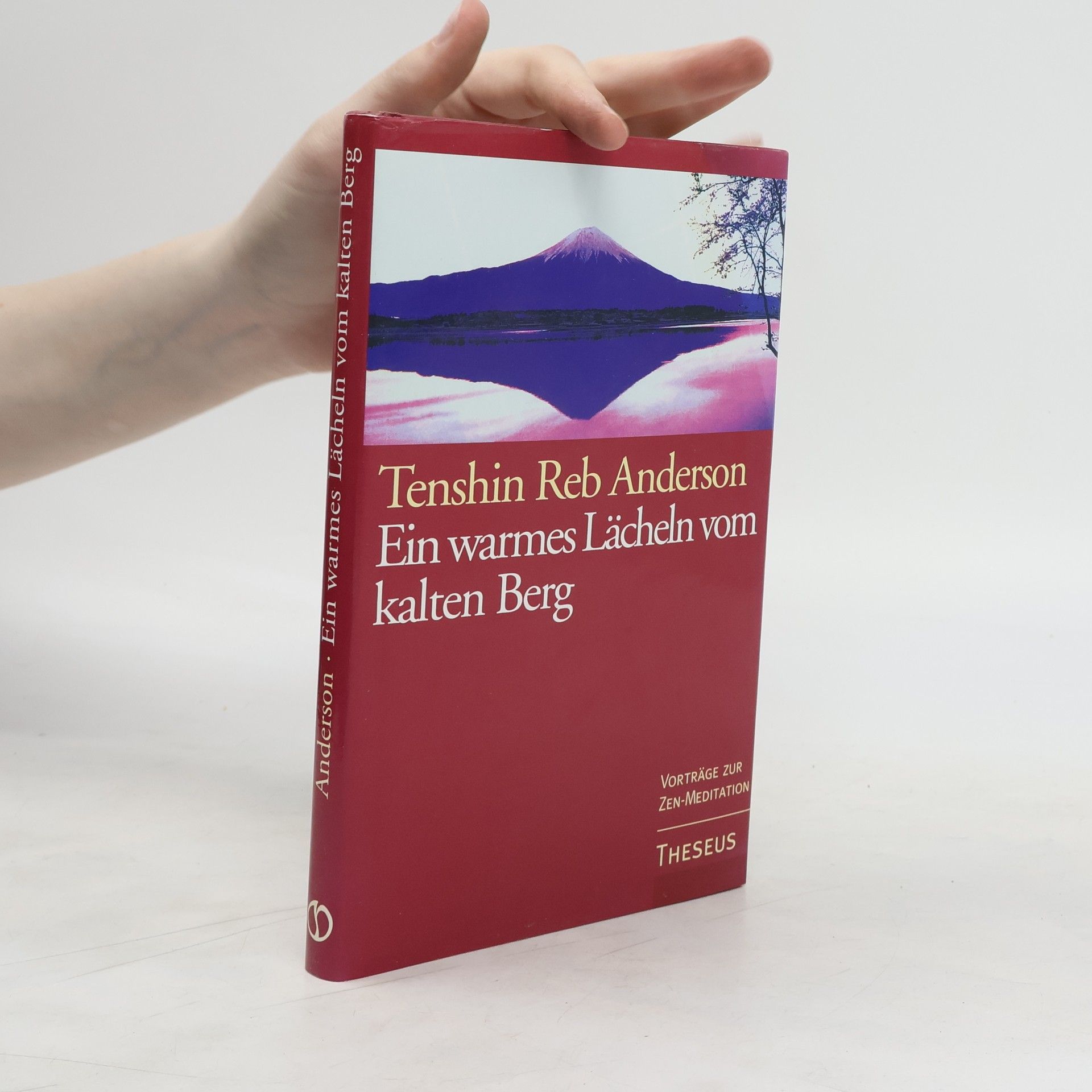 Reb Anderson Ein warmes Lächeln vom kalten Berg