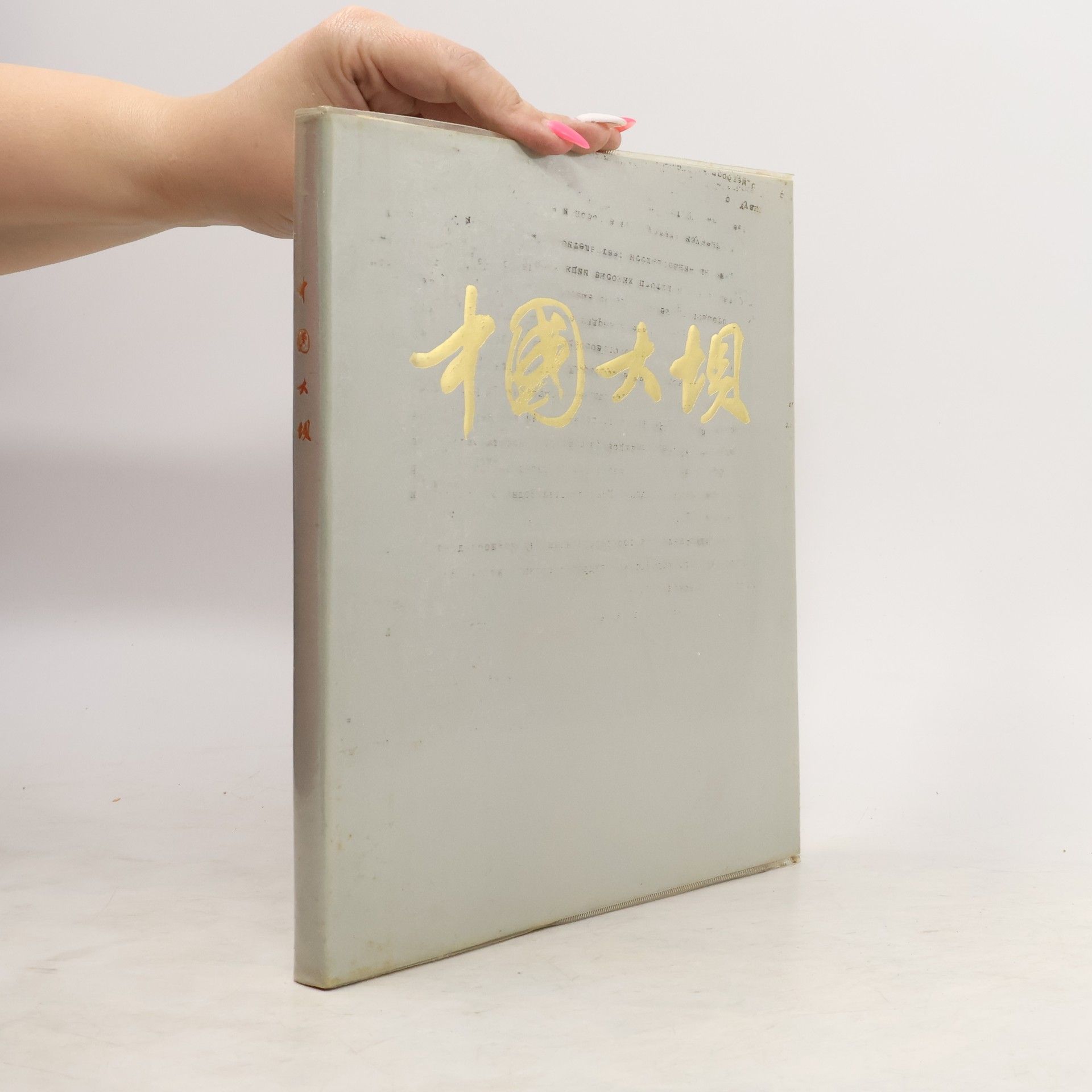 kolektiv 中國大坝