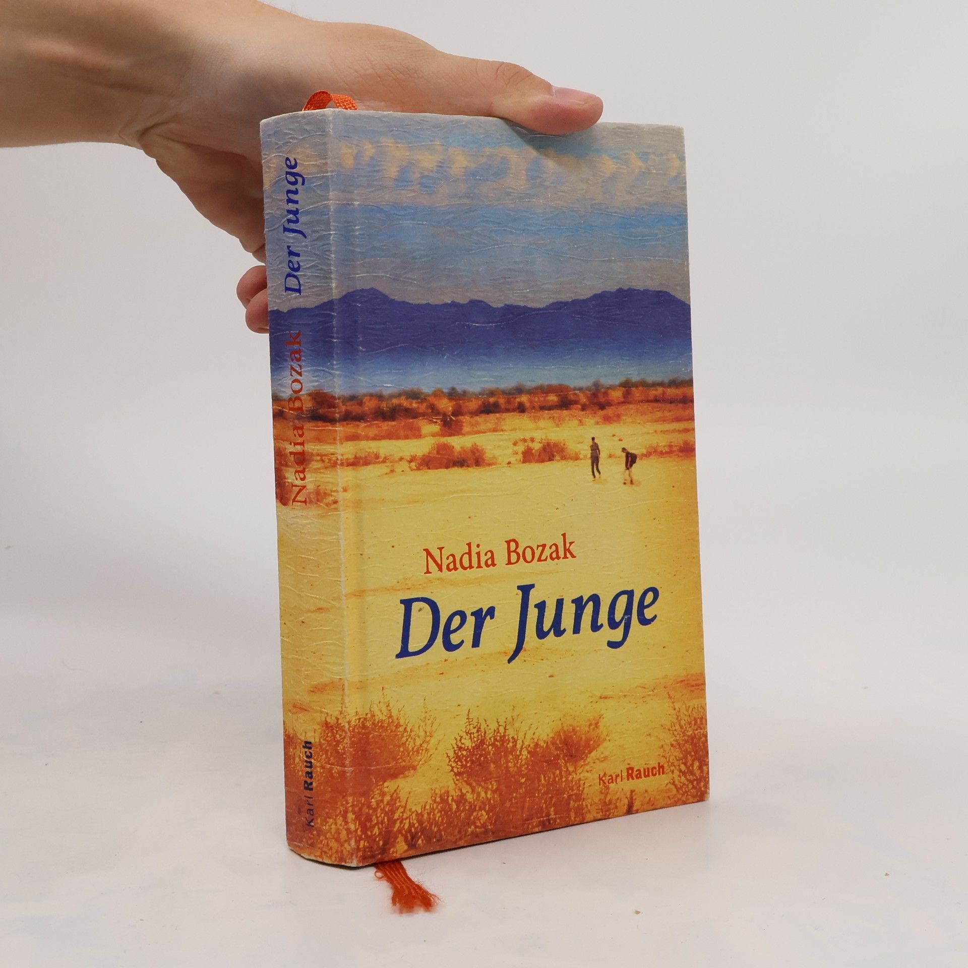 Nadia Bozak Der Junge