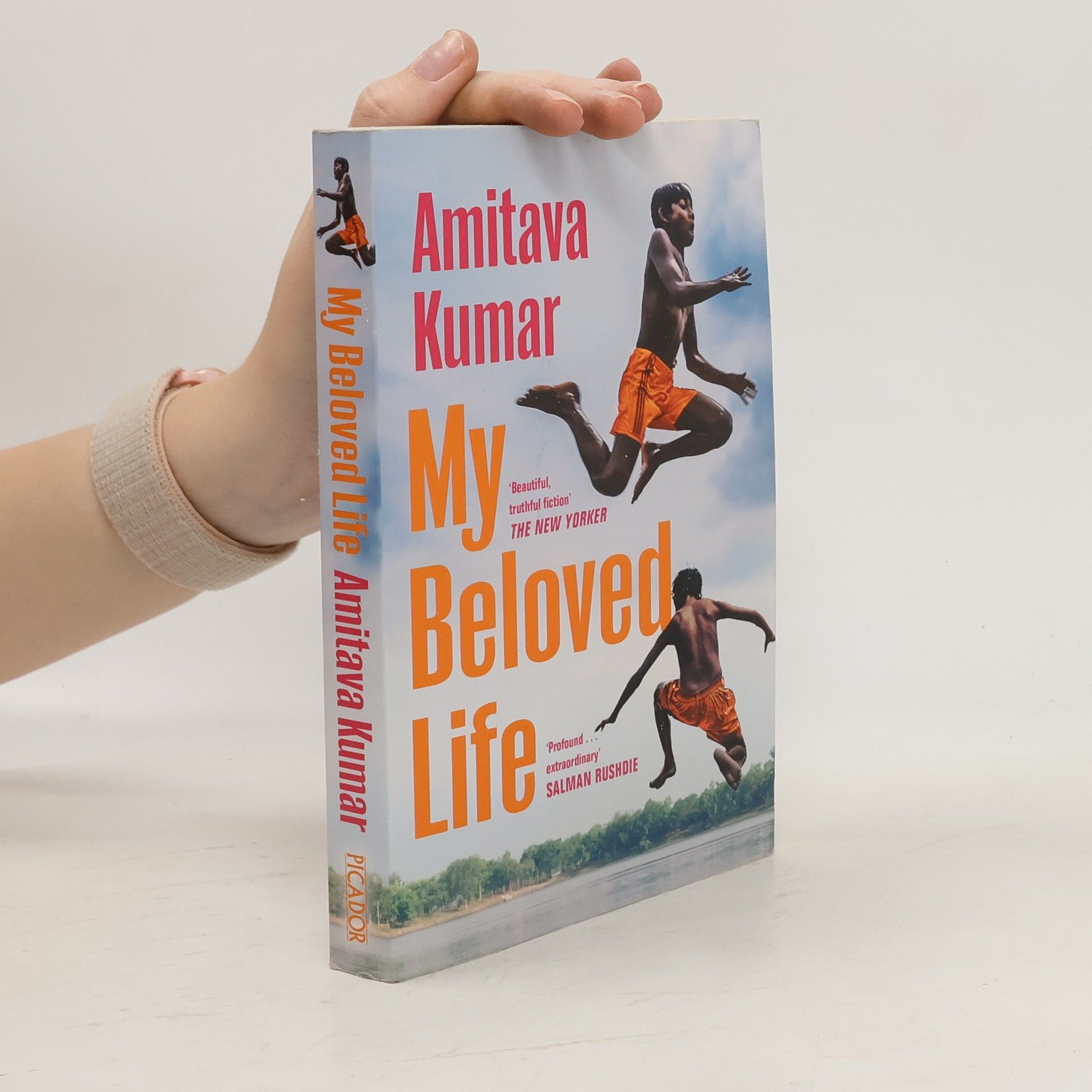 Amitava Kumar My Beloved Life