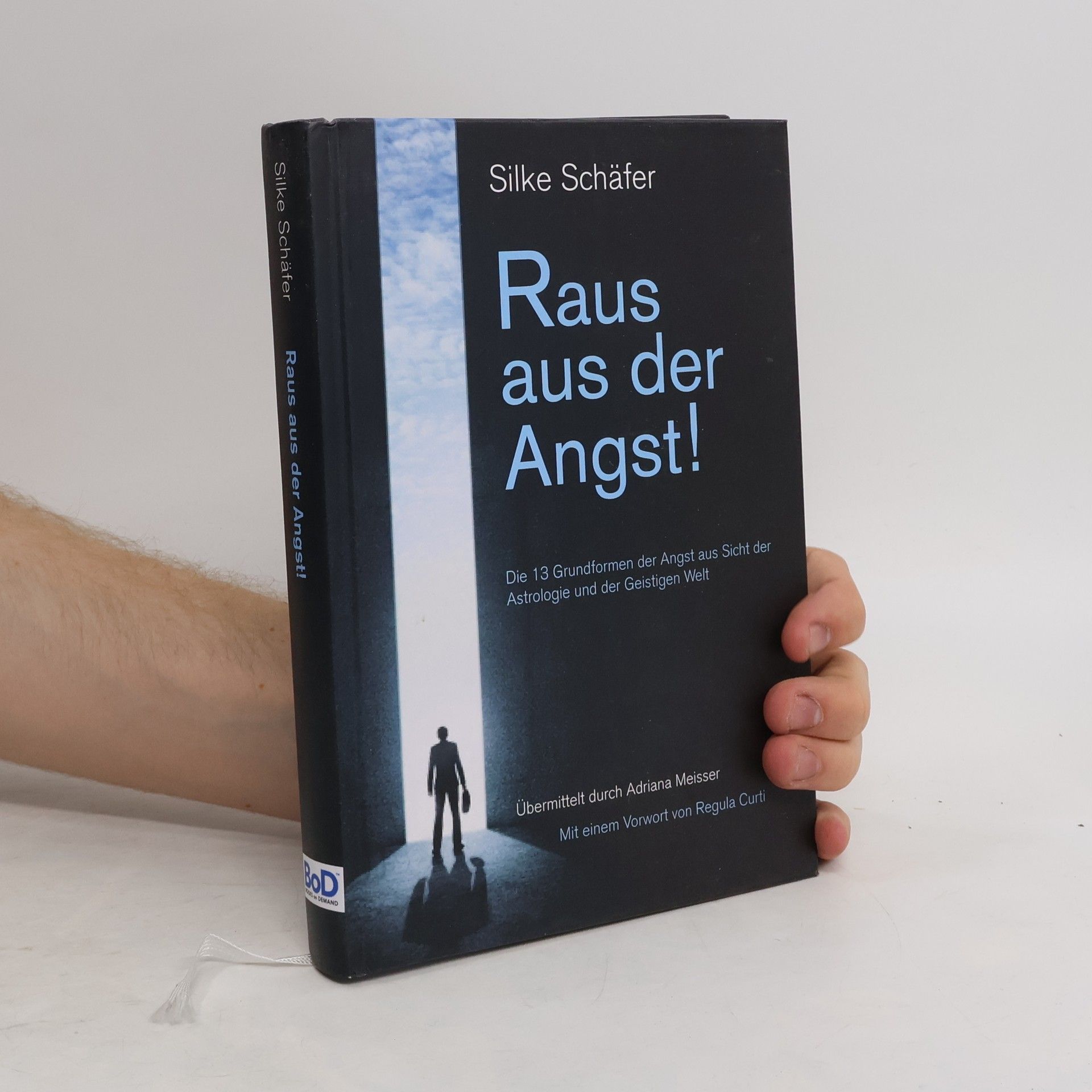 Silke Schäfer Raus aus der Angst!