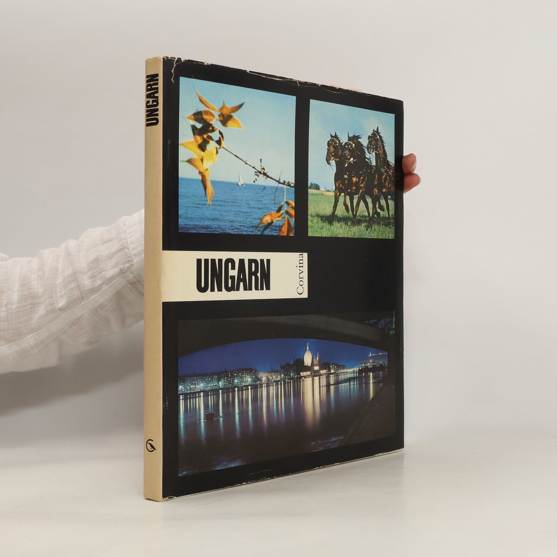 Auteurscollectief Ungarn