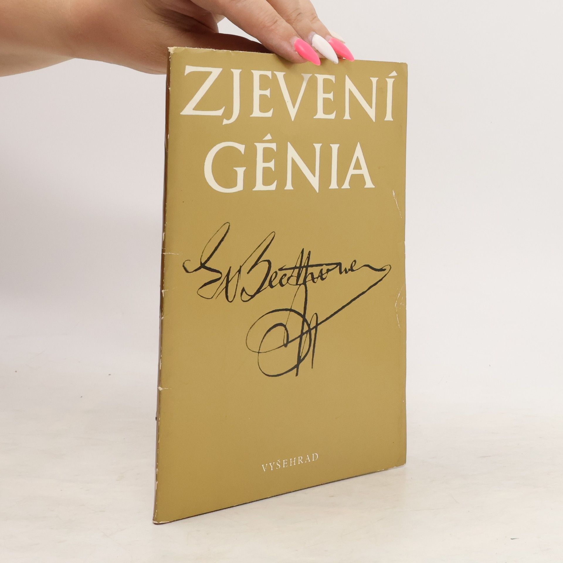 Jiří Vitula Zjevení génia. Ludwig van Beethoven