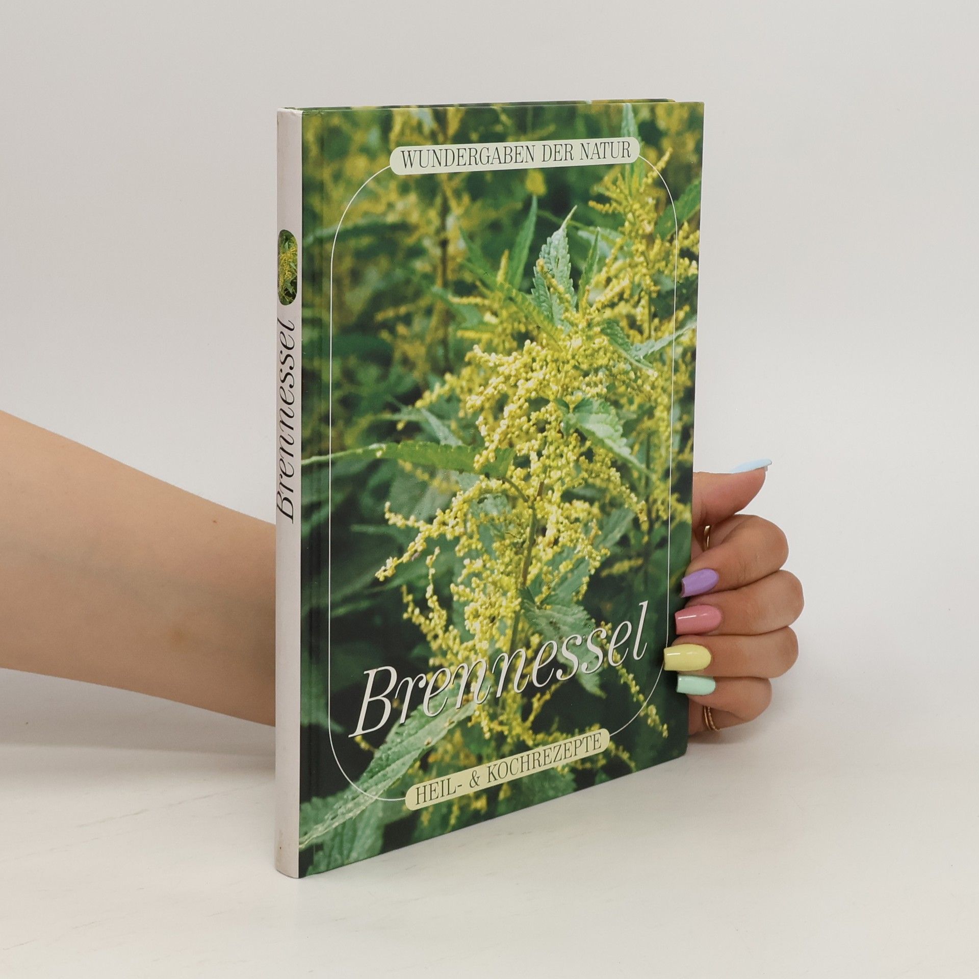 Collectif d'auteurs Brennessel