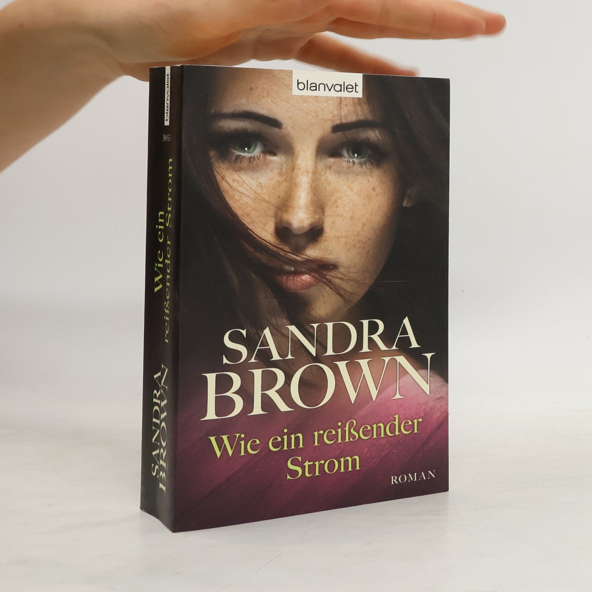 Sandra Brown Wie ein reißender Strom