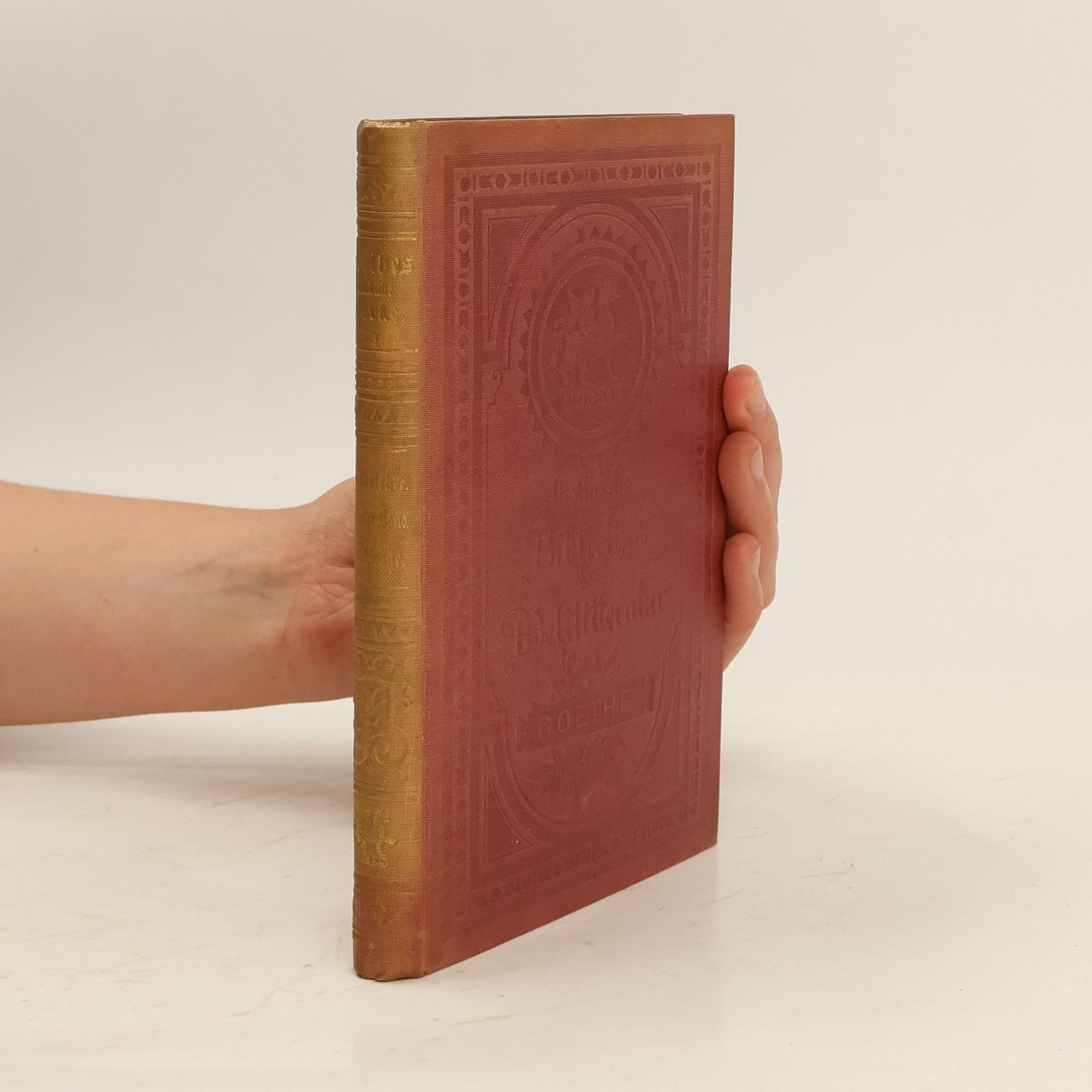 Johann Wolfgang von Goethe Goethes sämtliche Werke 35