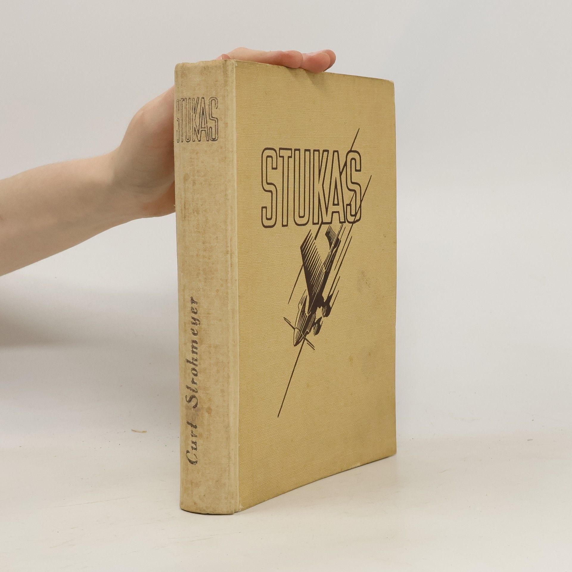 Curt Strohmeyer Stukas! Erlebnis eines Fliegerkorps