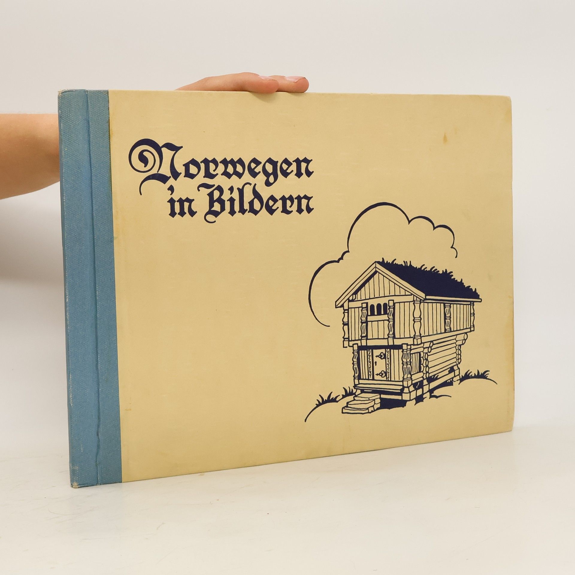 Collectif d'auteurs Norwegen in Bildern