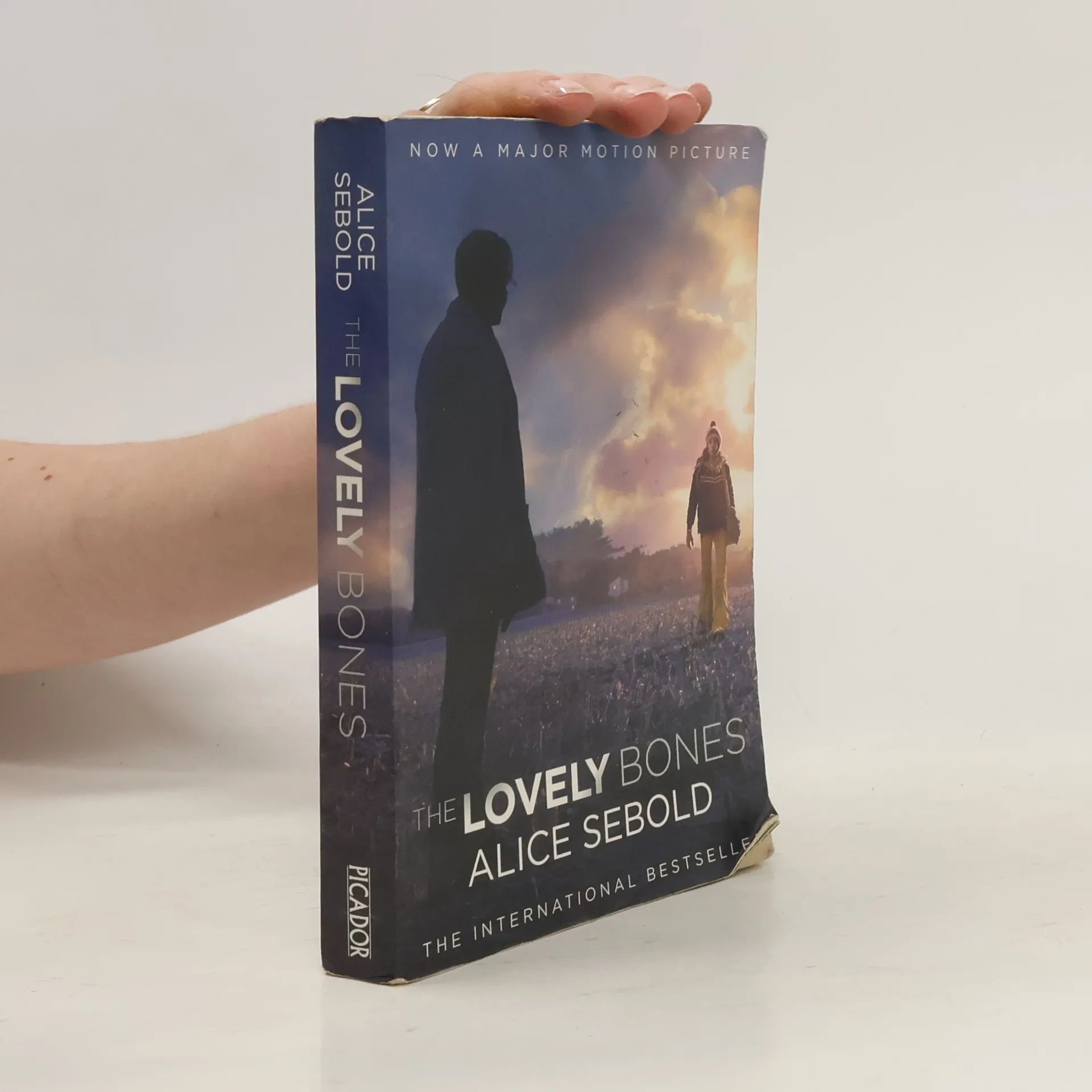The Lovely Bones | Book | Alice Sebold | EN