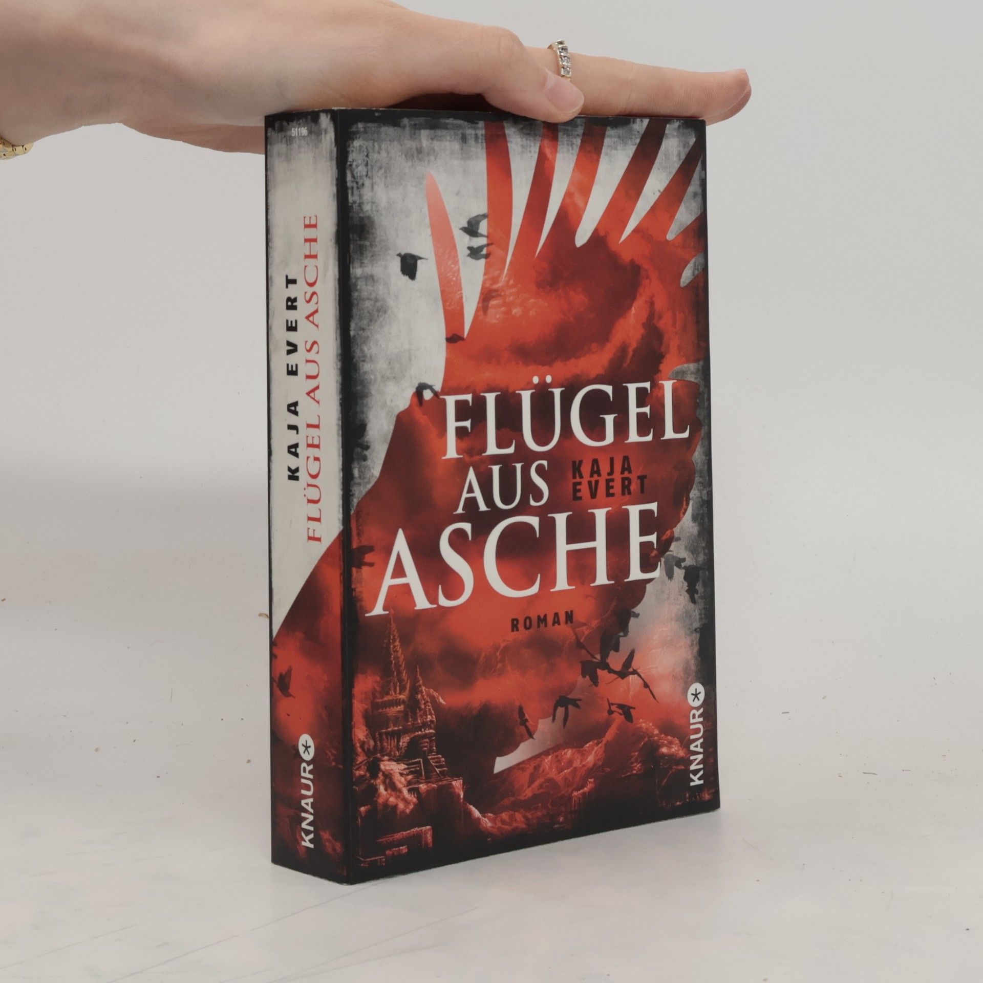 Kaja Evert Flügel aus Asche