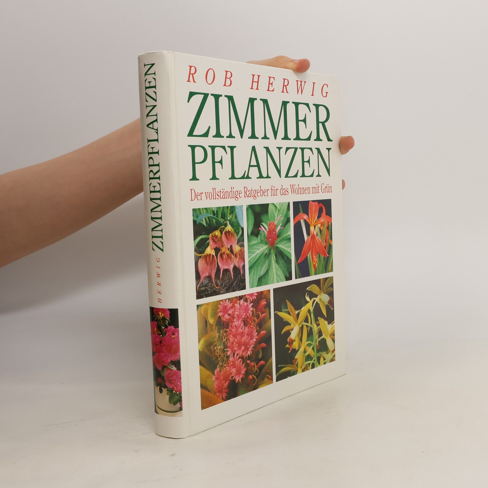 Rob Herwig Zimmerpflanzen
