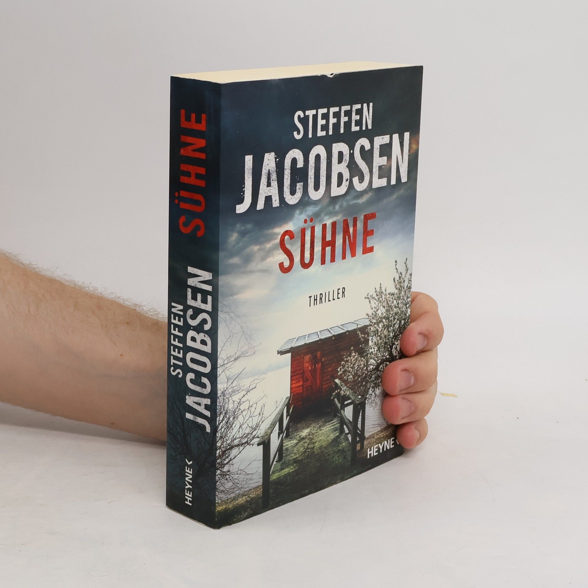 Steffen Jacobsen Sühne. Thriller