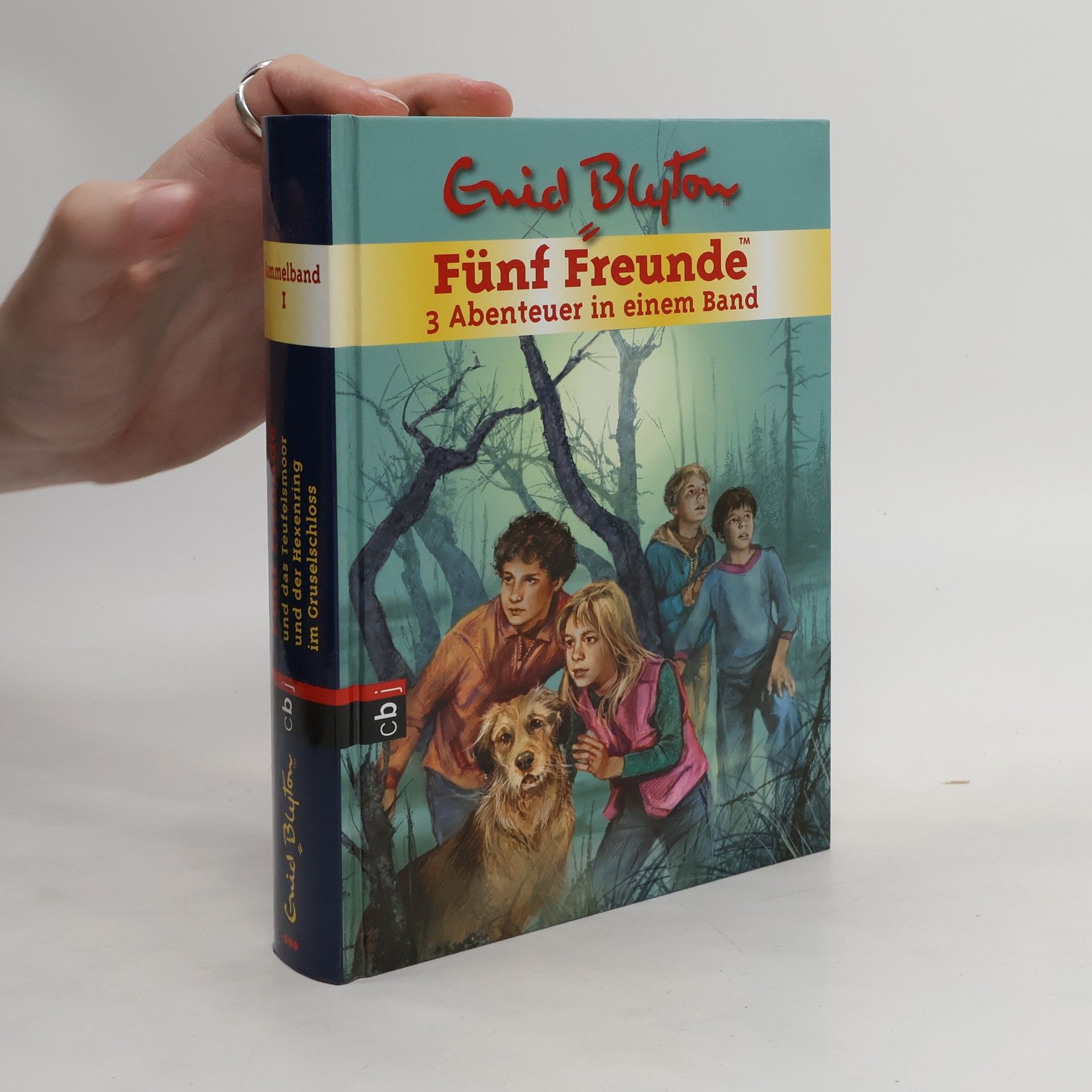 Enid Blyton Sammelband 1. Fünf Freunde. 3 Abenteuer in einem Band