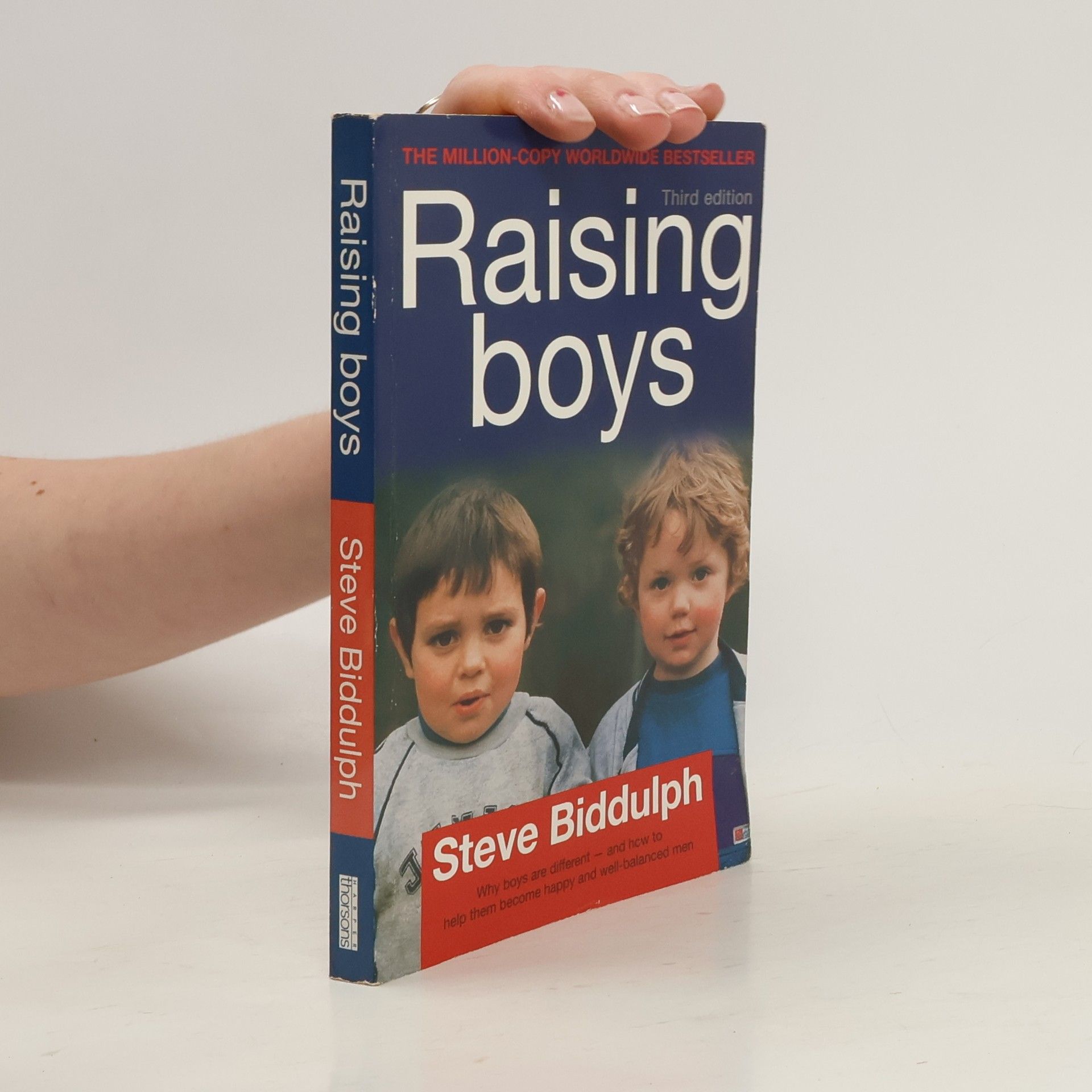 Steve Biddulph Raising boys