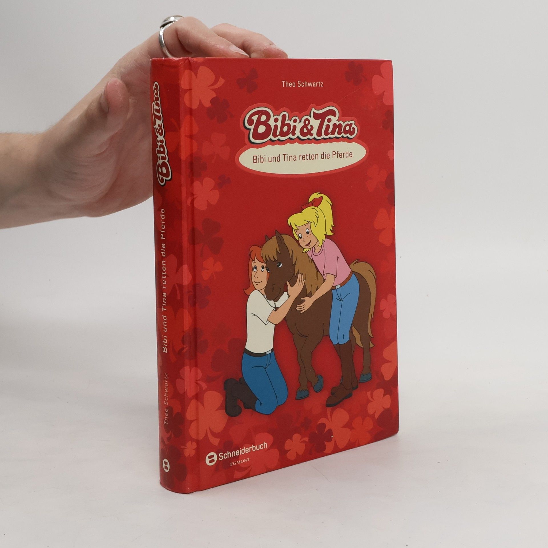 Theo Schwartz Bibi & Tina - Bibi und Tina retten die Pferde