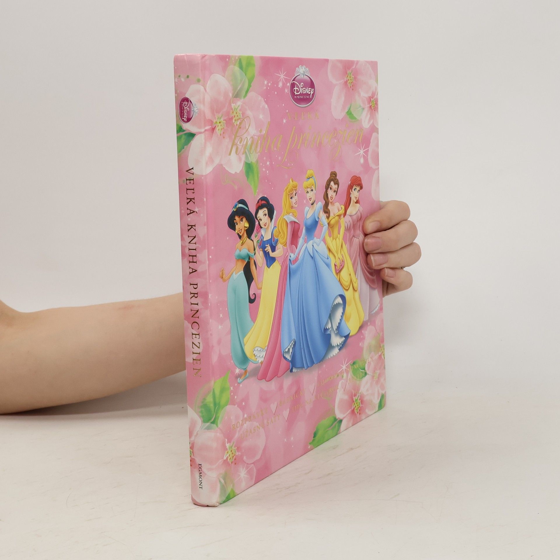 Walt Disney Veľká kniha princezien