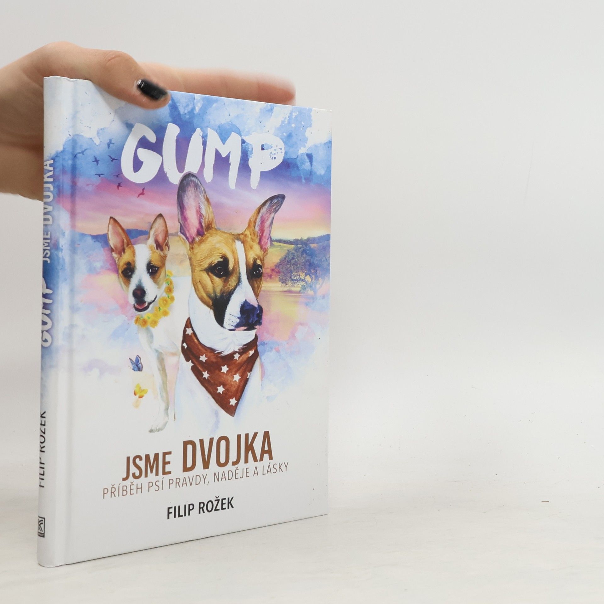 Filip Rožek Gump jsme dvojka: Příběh psí pravdy, naděje a lásky