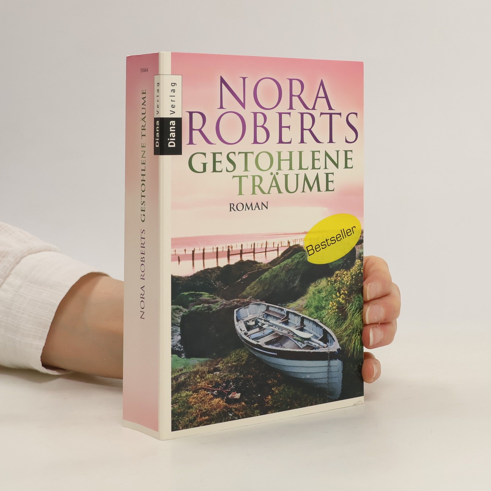 Nora Roberts Gestohlene Träume