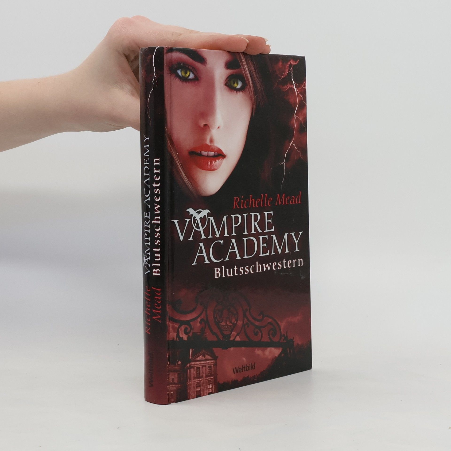 Richelle Mead Vampire Academy. Blutsschwestern