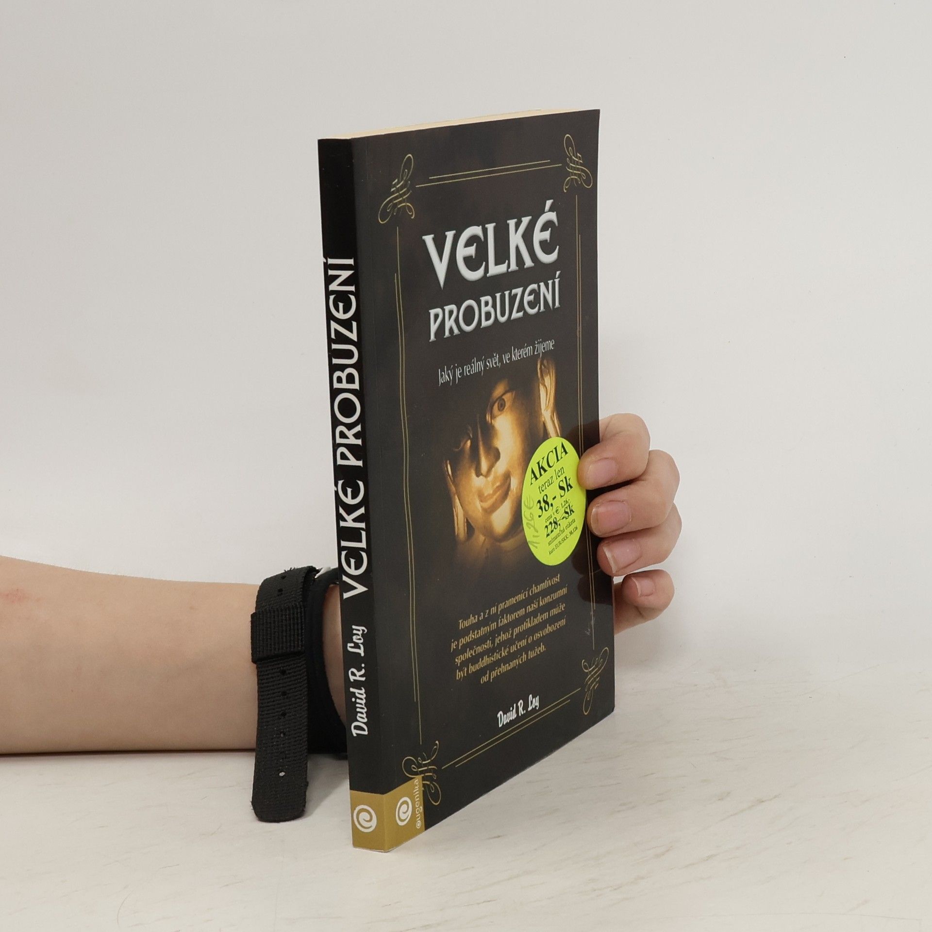 David Robert Loy Velké probuzení : jaký je reálný svět, ve kterém žijeme
