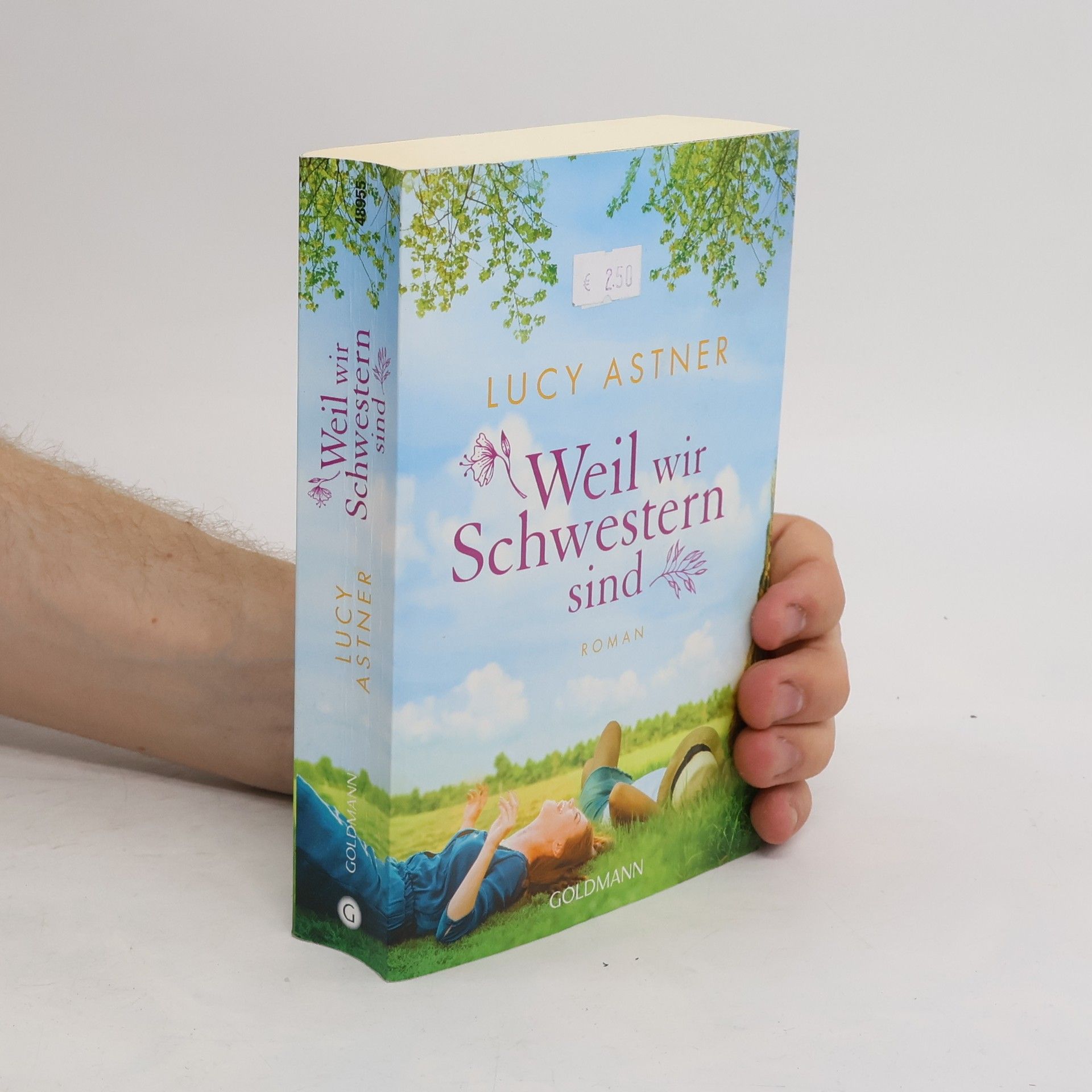 Lucy Astner Weil wir Schwestern sind