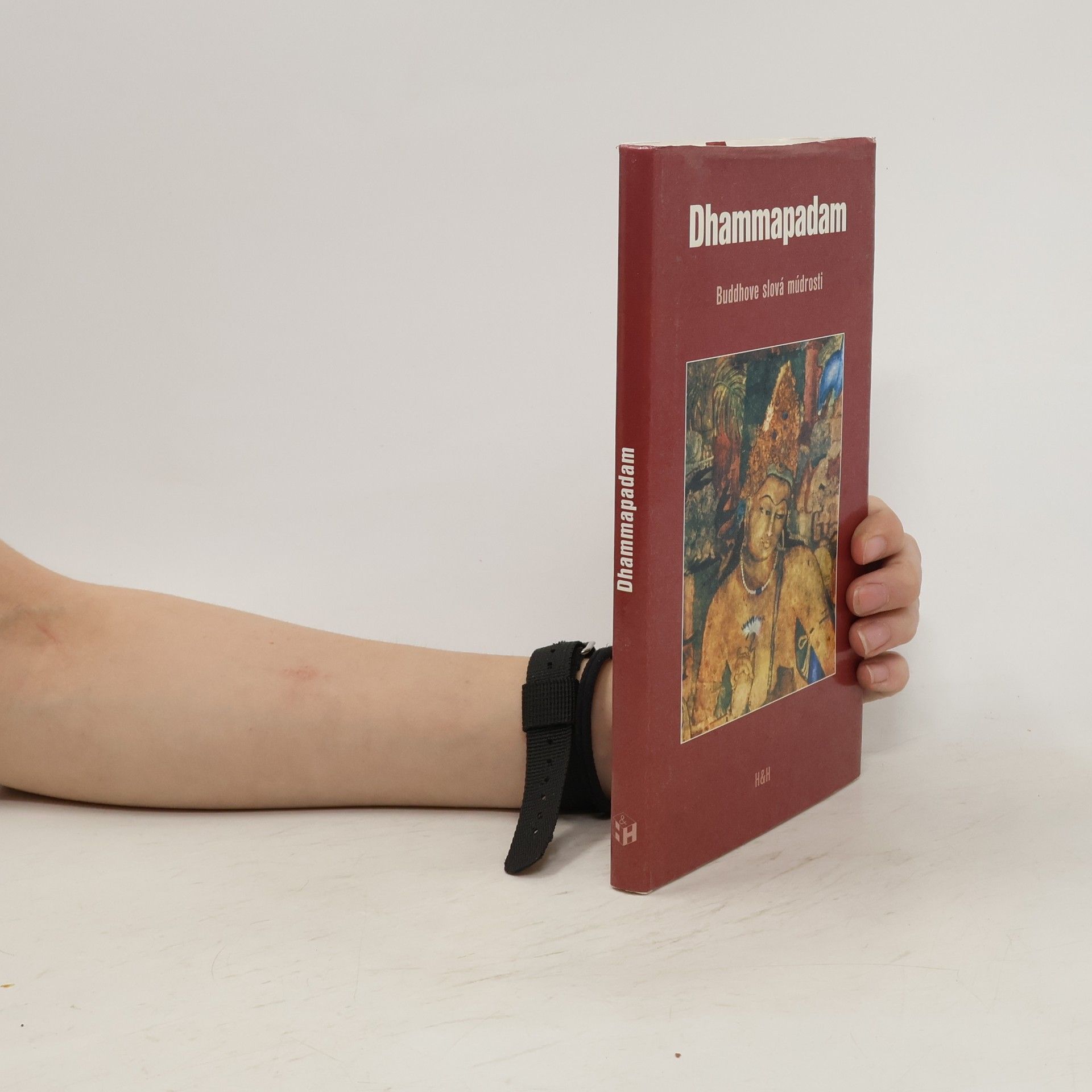 Hajko Dalimír Dhammapadam