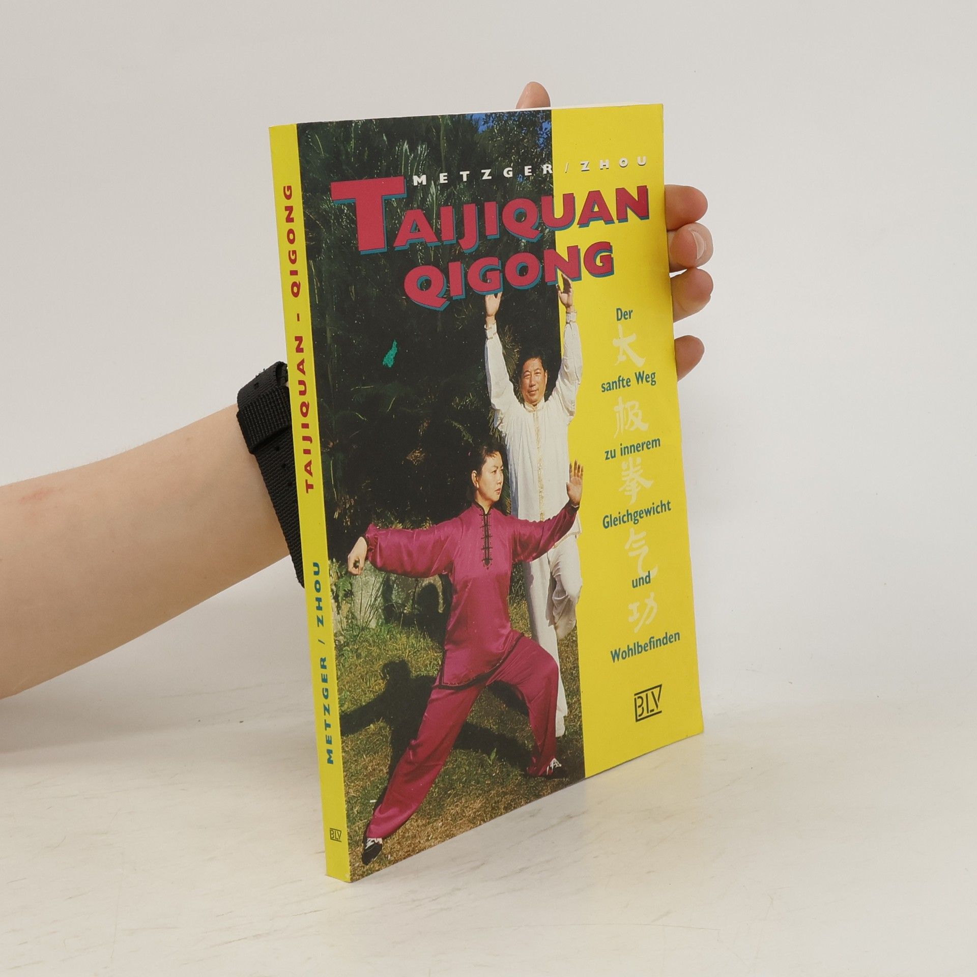 Wolfgang Metzger Taijiquan, Qigong