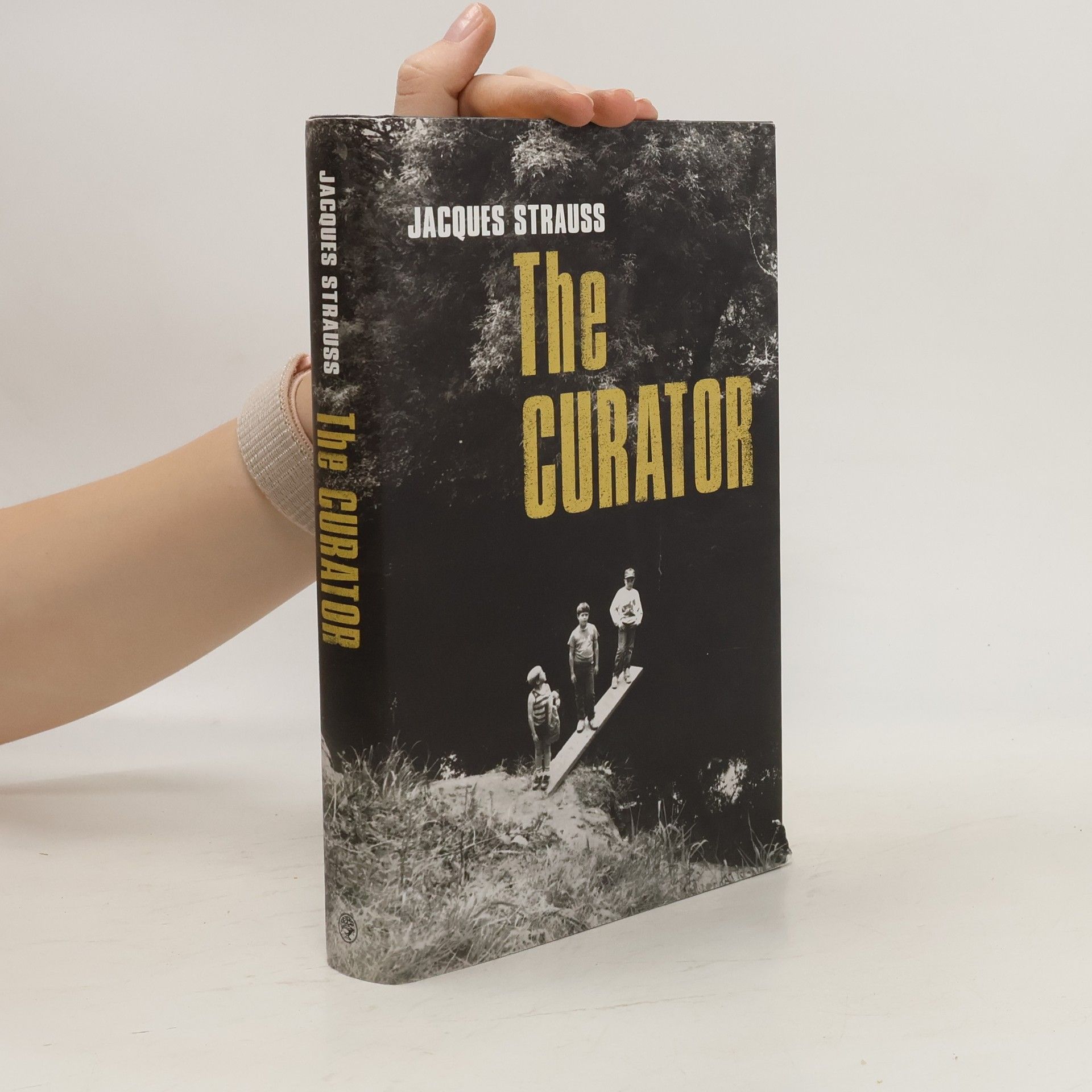 Jacques Strauss The Curator