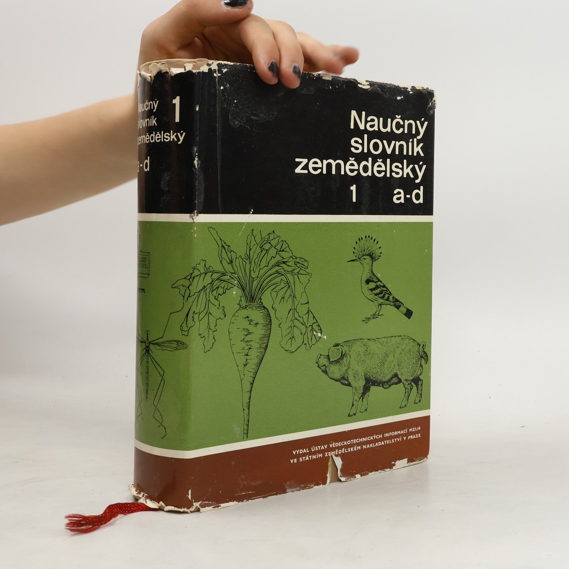 kolektiv Naučný slovník zemědělský 1 a-d