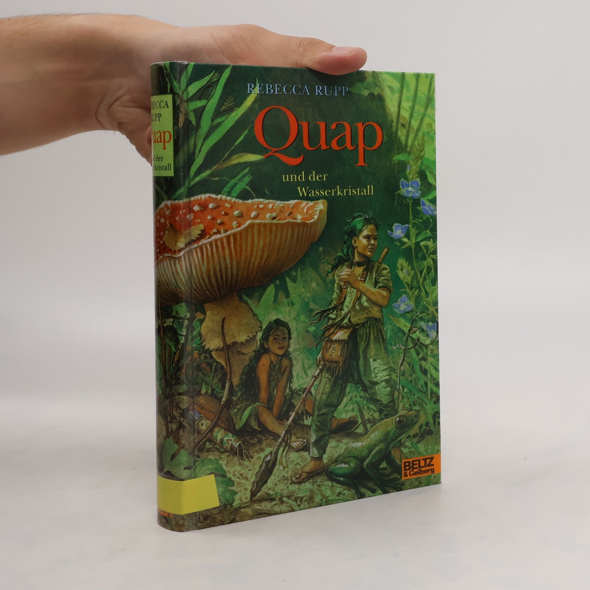 Rebecca Rupp Quap und der Wasserkristall