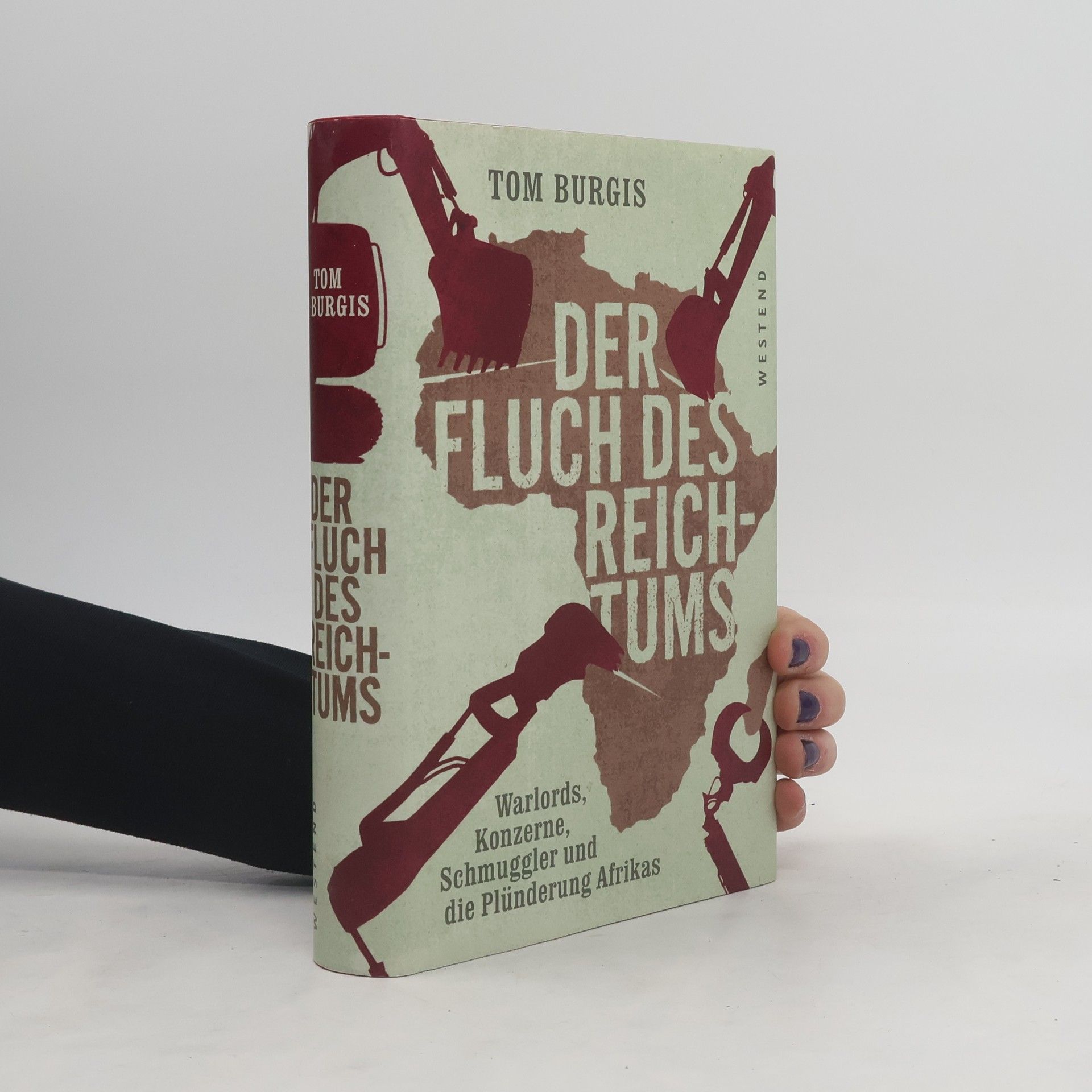 Tom Burgis Der Fluch des Reichtums